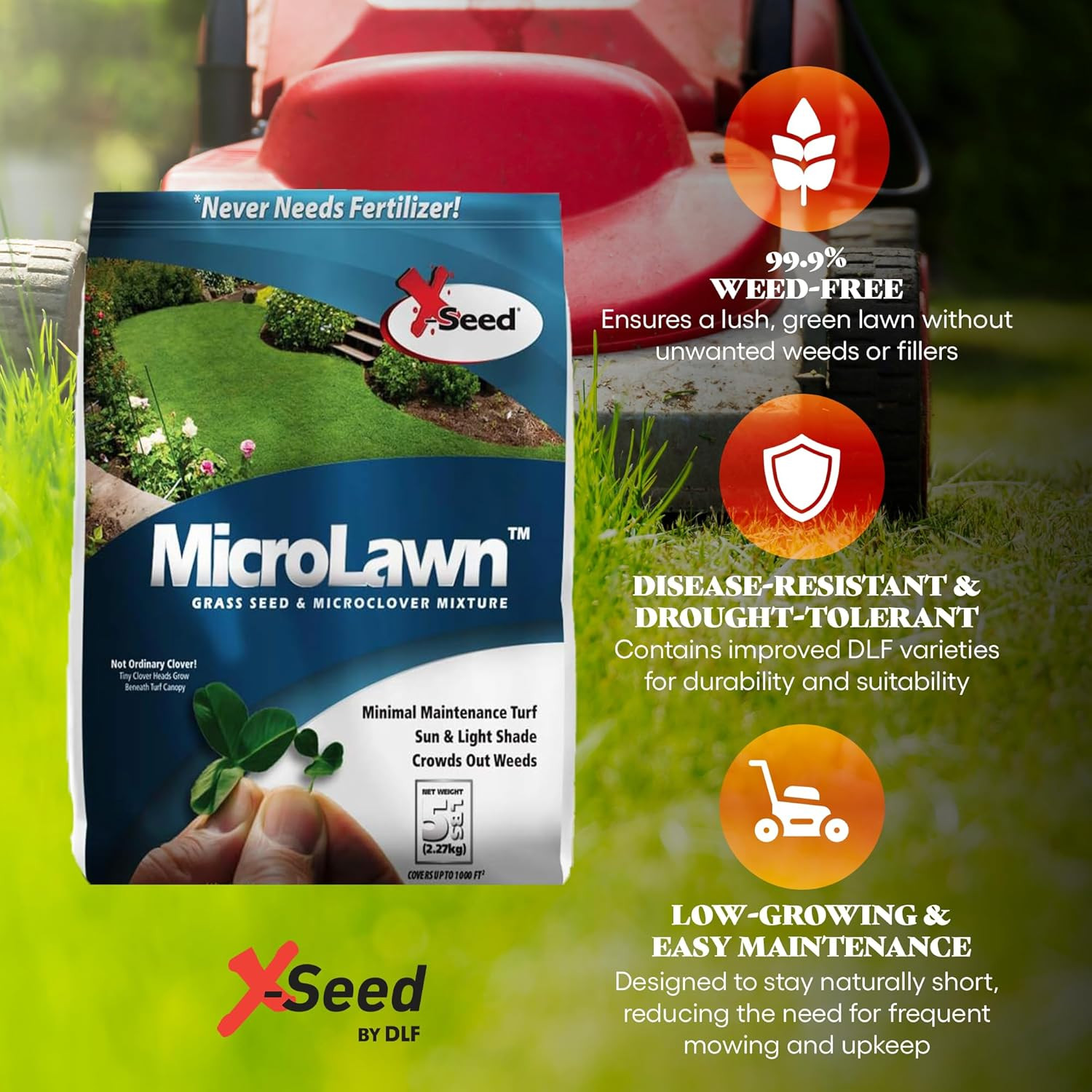 X-Seed Microlawn Grass Seed & Microclover Mix – Dense Self Feeding Lawn, Sun & S