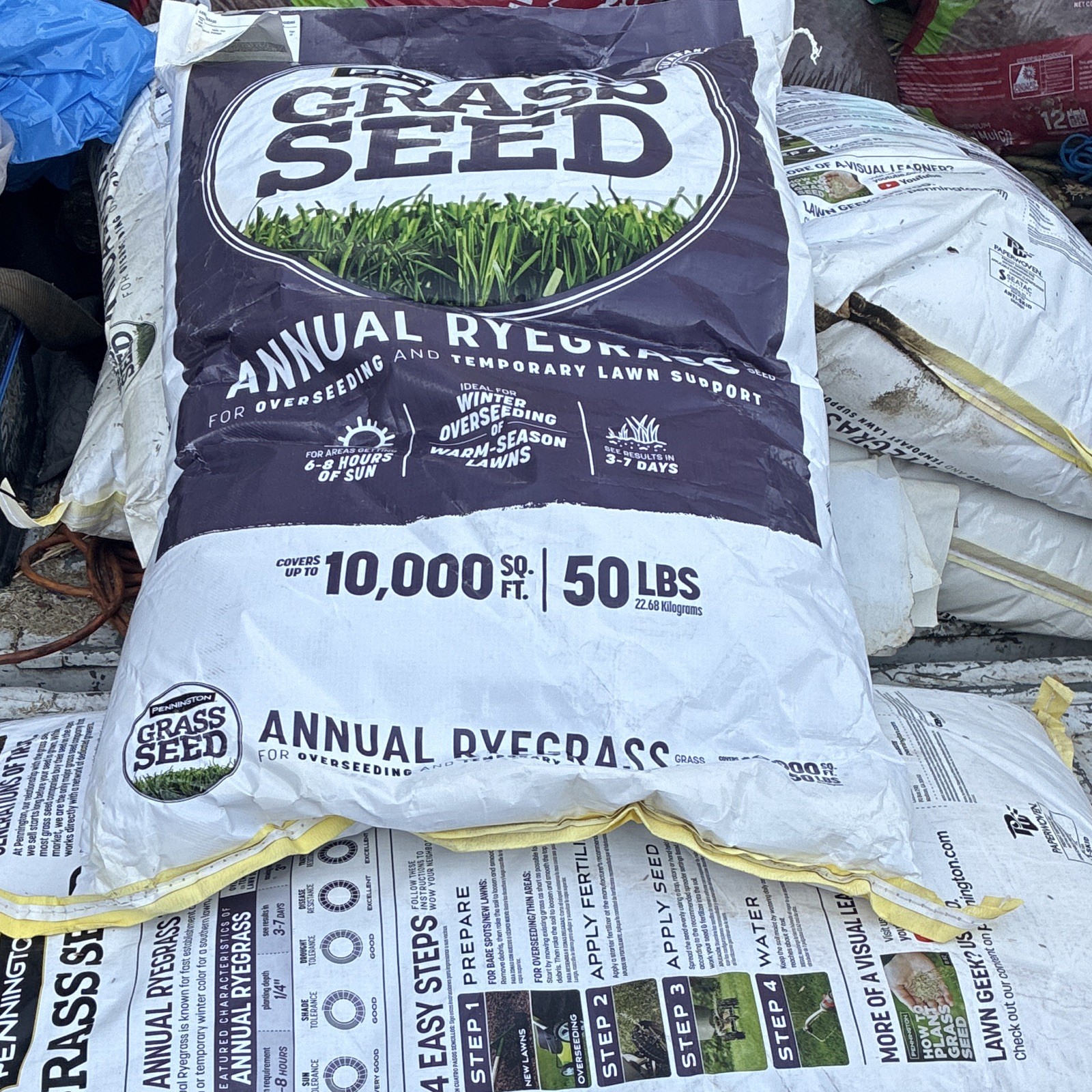 Pennington Annual Ryegrass Lawn Grass Seed 50 lb Bag, Fast Growing, 10,000 sq ft