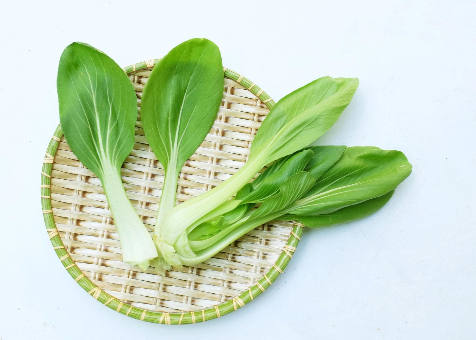 Chinese White Stem Pak Choi Bok Choy Seeds, Non-Gmo, Shipped with Tracking,