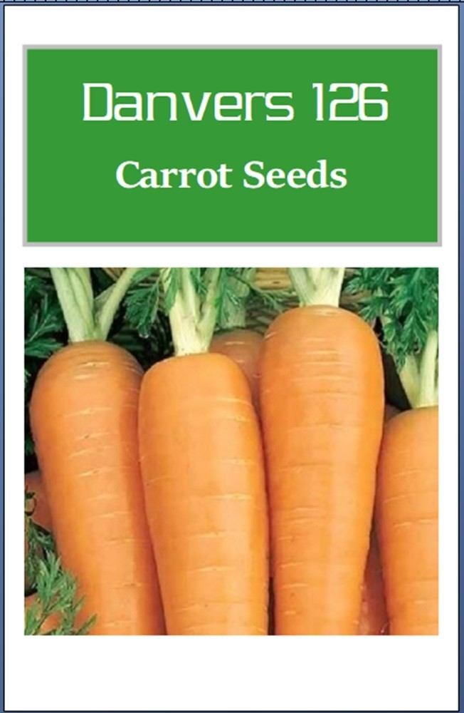 Danvers 126 Carrot Seeds | NON-GMO | Heirloom | Fresh Vegetable Seeds