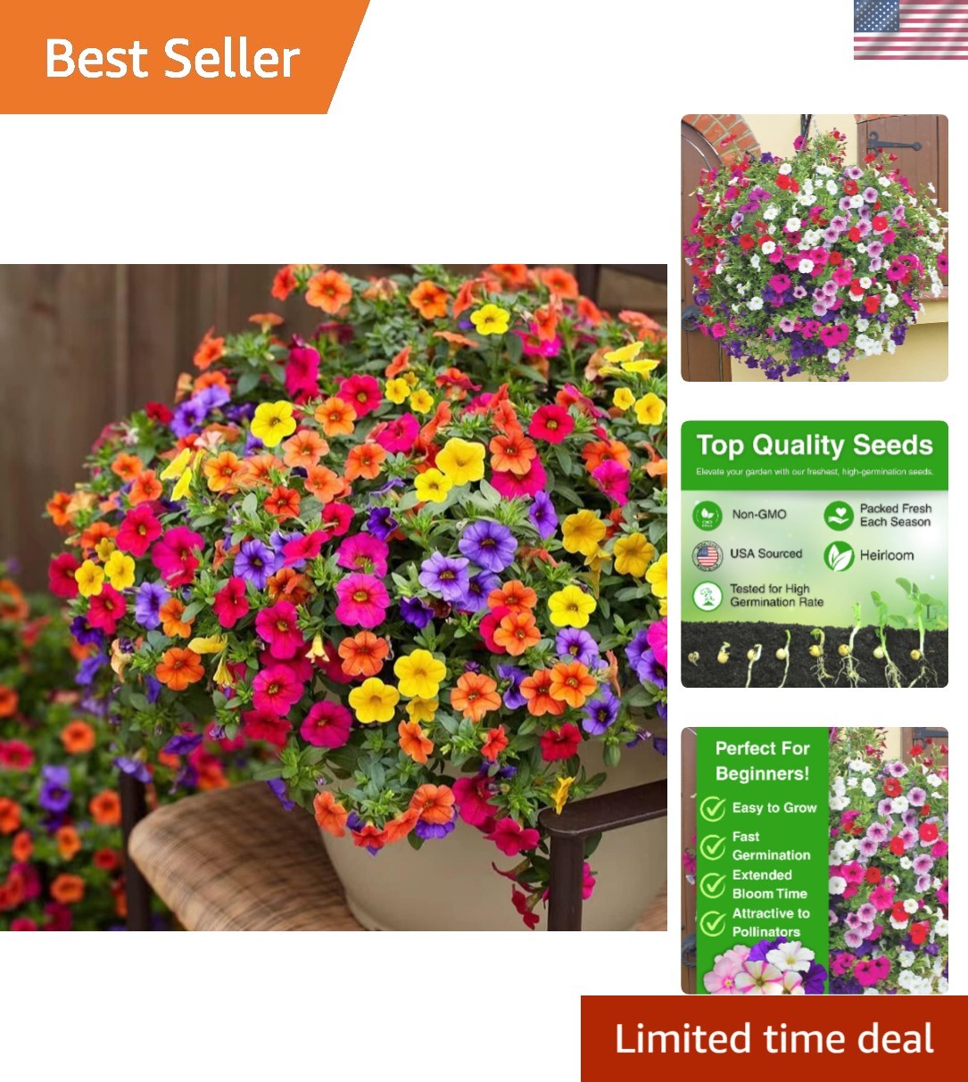 Non-GMO 5000+ Petunia Seeds – Ideal for Pollinator Gardens & Extended Bloom Time