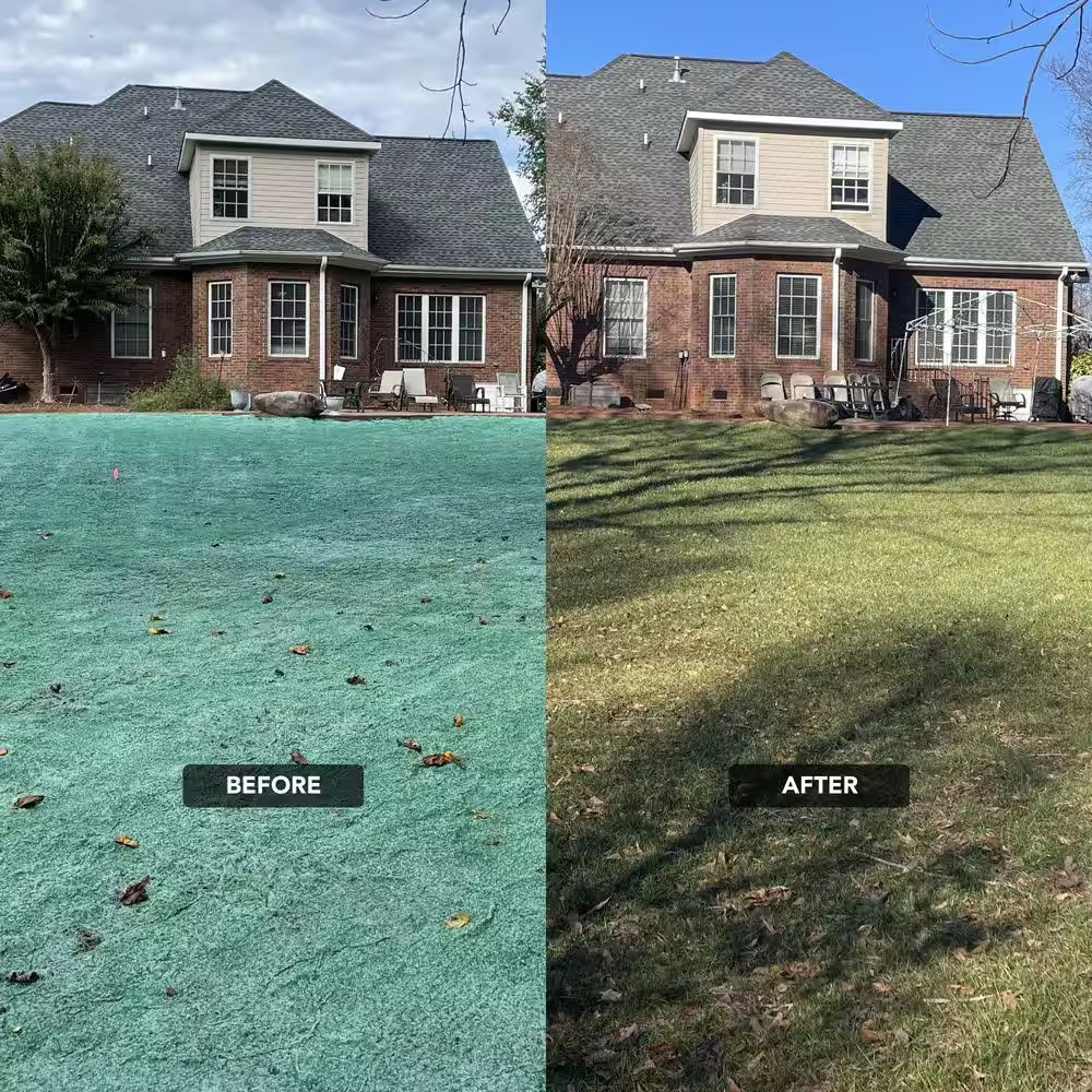 100 Sq. Ft. Big Roll Year around Green Grass Mixture