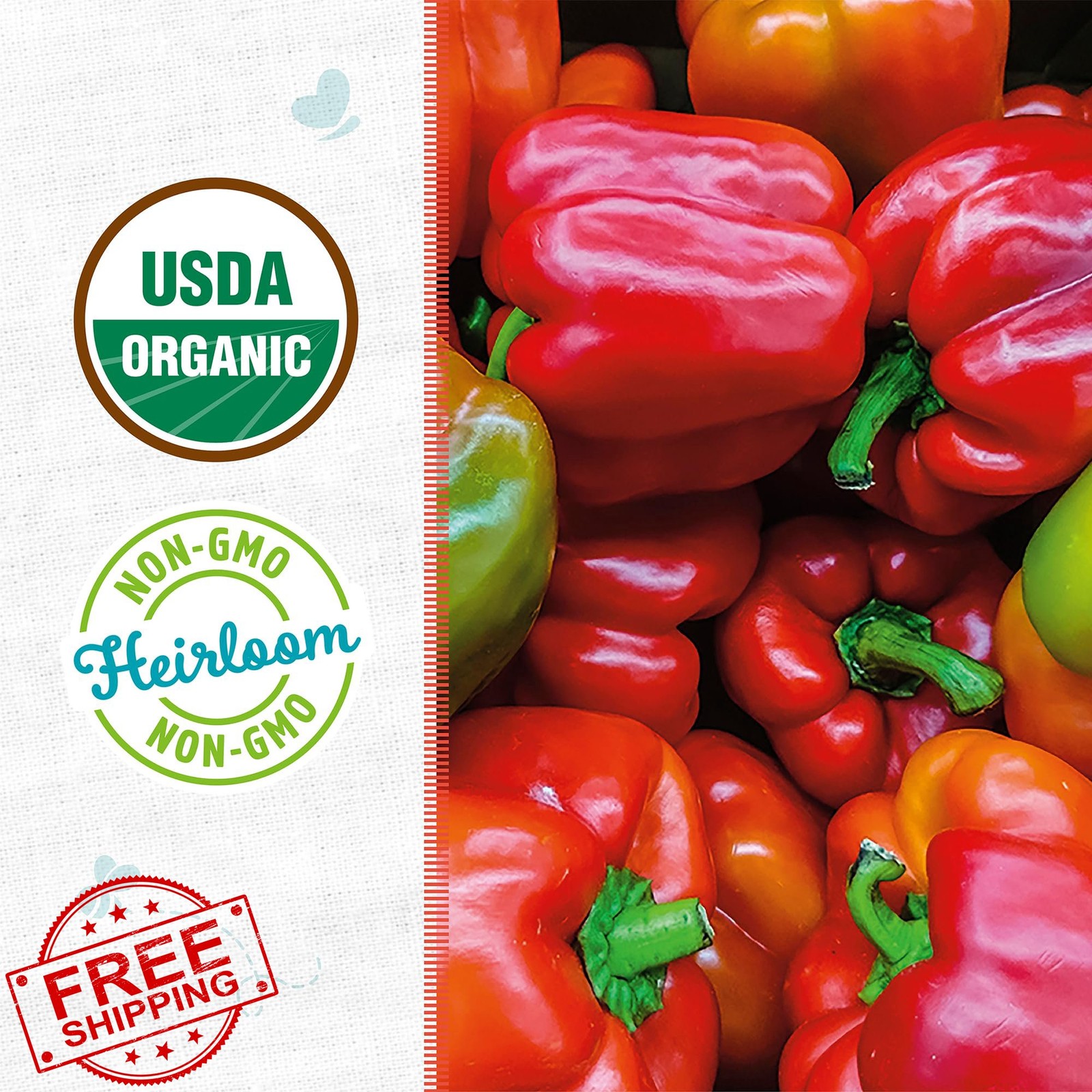 Back to The Roots Organic Bell Pepper Seed Packet ‘Sweet Keystone Giant’
