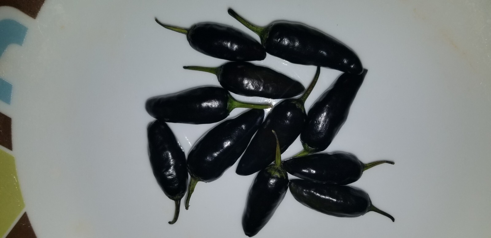 Black Jalapeno 12 Seeds