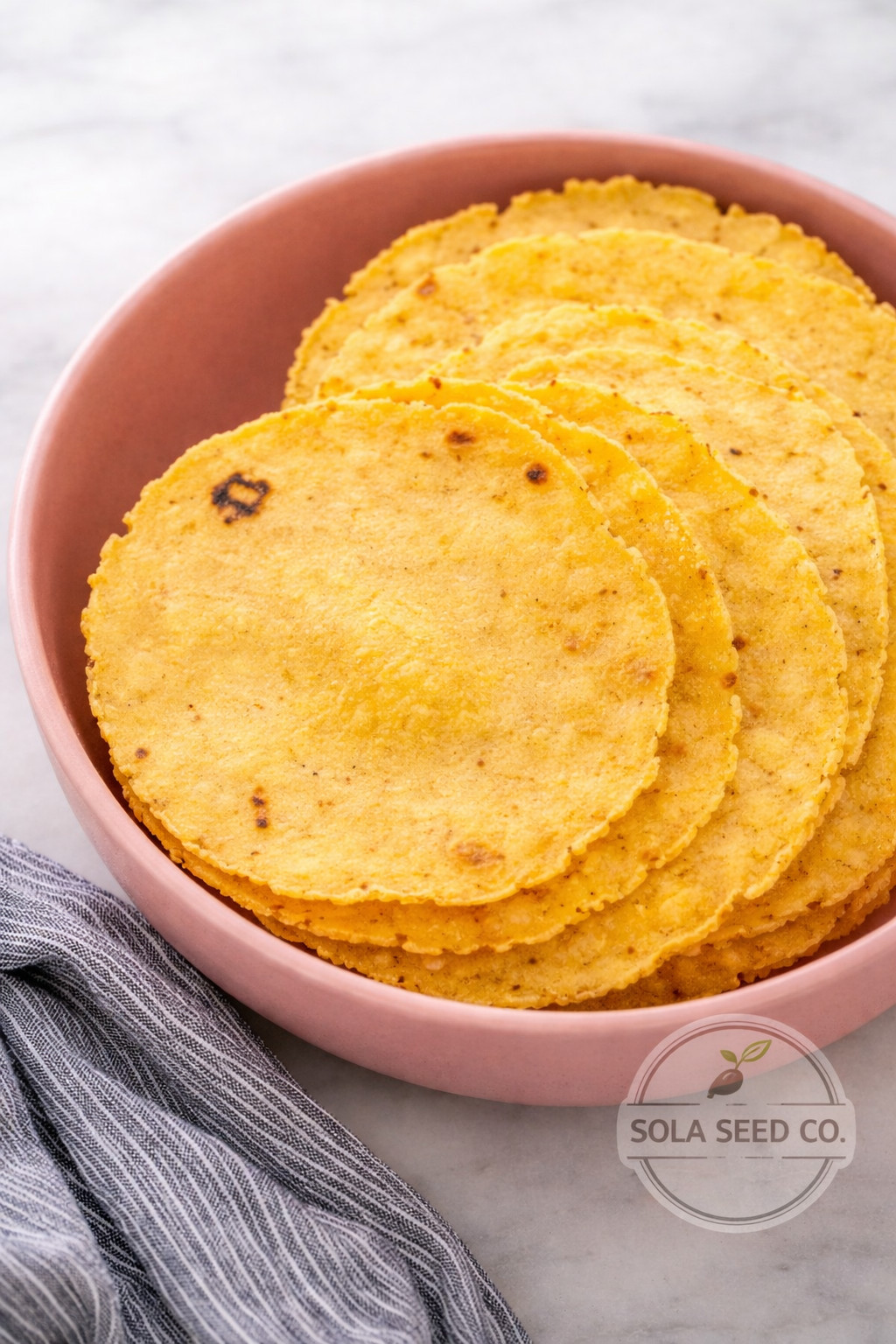 25 Rare Yellow Tuxpeño Mexican Corn Seeds Heirloom Maize Traditional Masa Elote