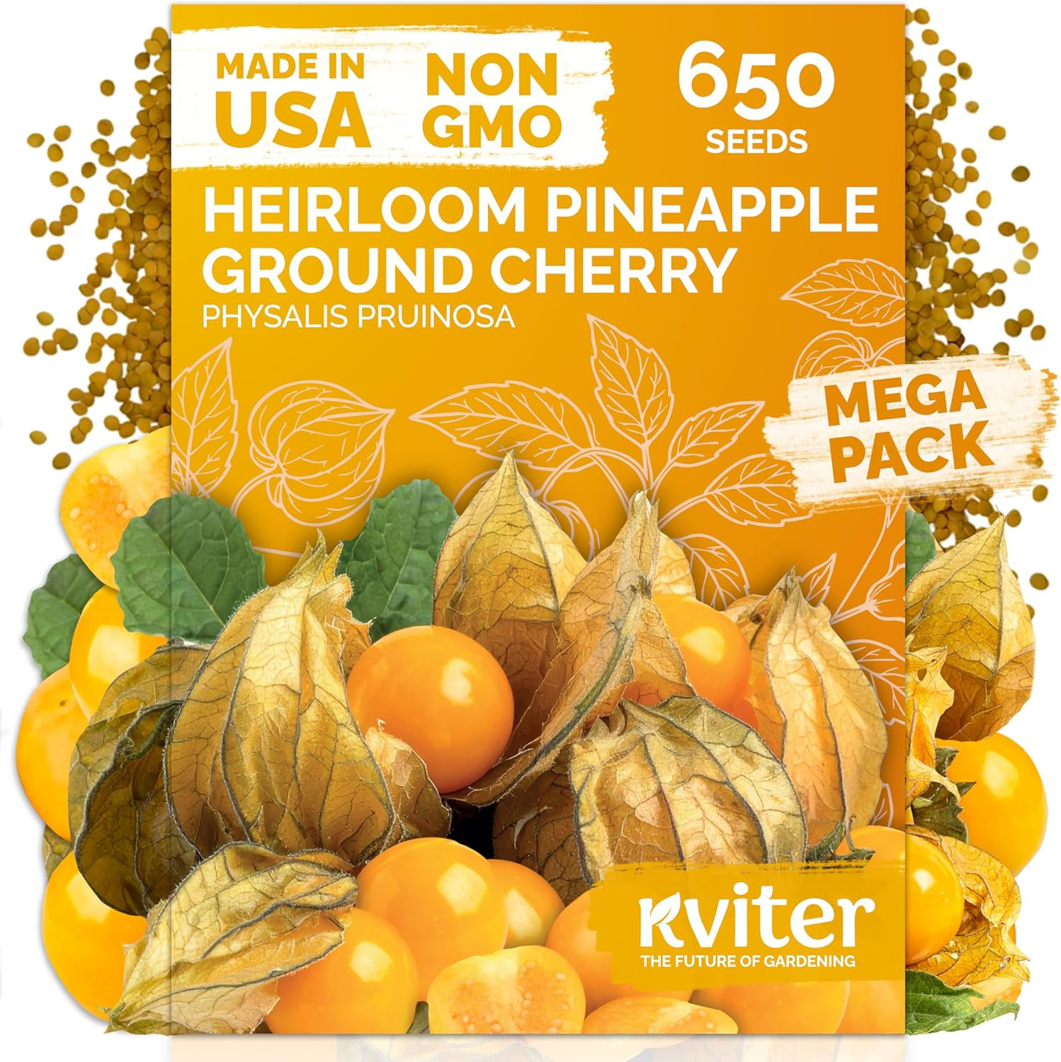 650 Aunt Molly Ground Cherry Seeds for Planting (Physalis Pruinosa) – Non GMO &