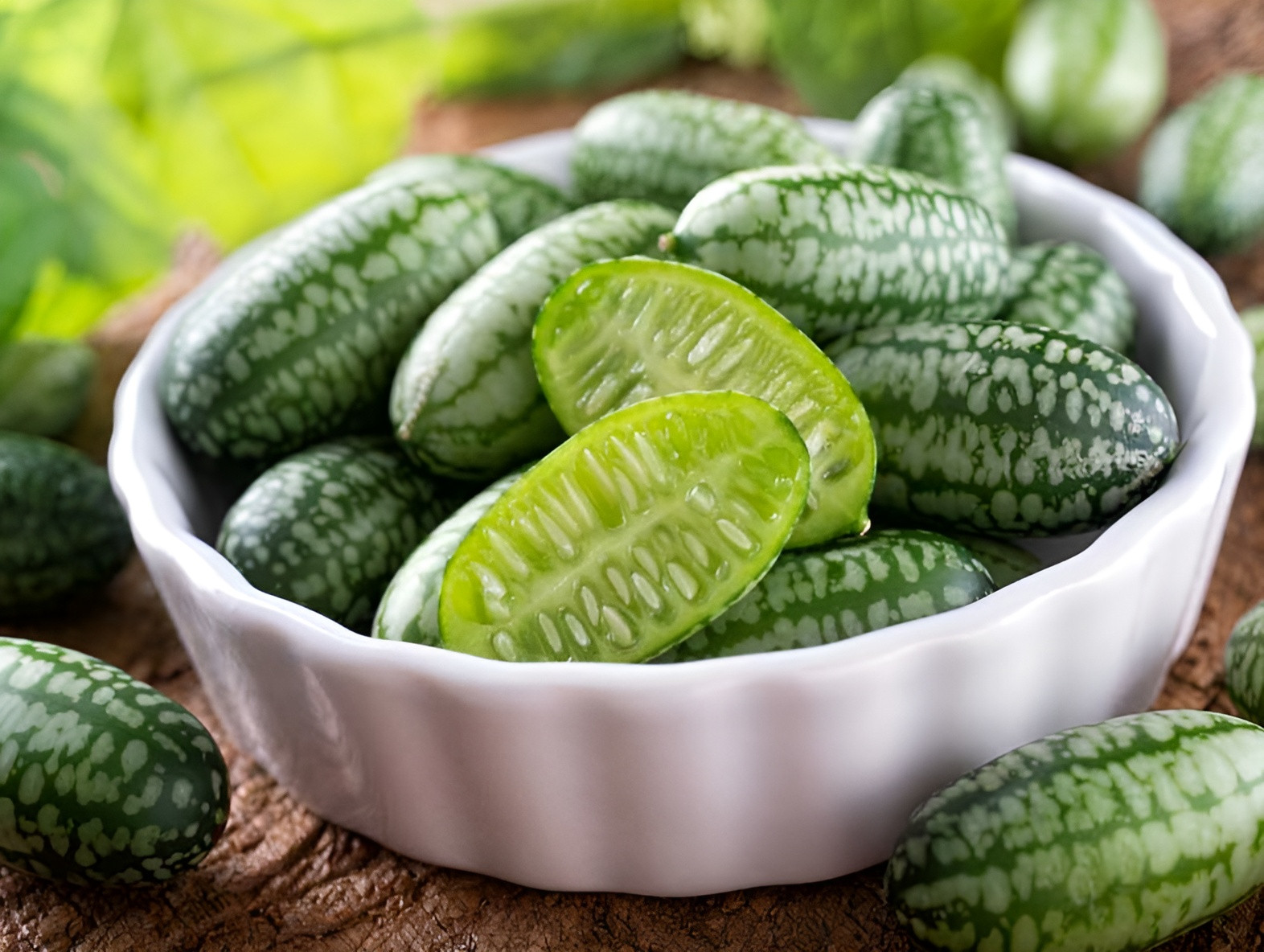150 Heirloom Organic Straight Eight Cucumber Seeds – Bitter Free! Sweet&Crisp!