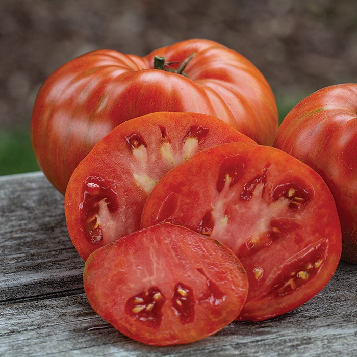 *NEW* Beefy Red Tomato Seeds, Certified Organic 10 Seeds , Free Shipping!