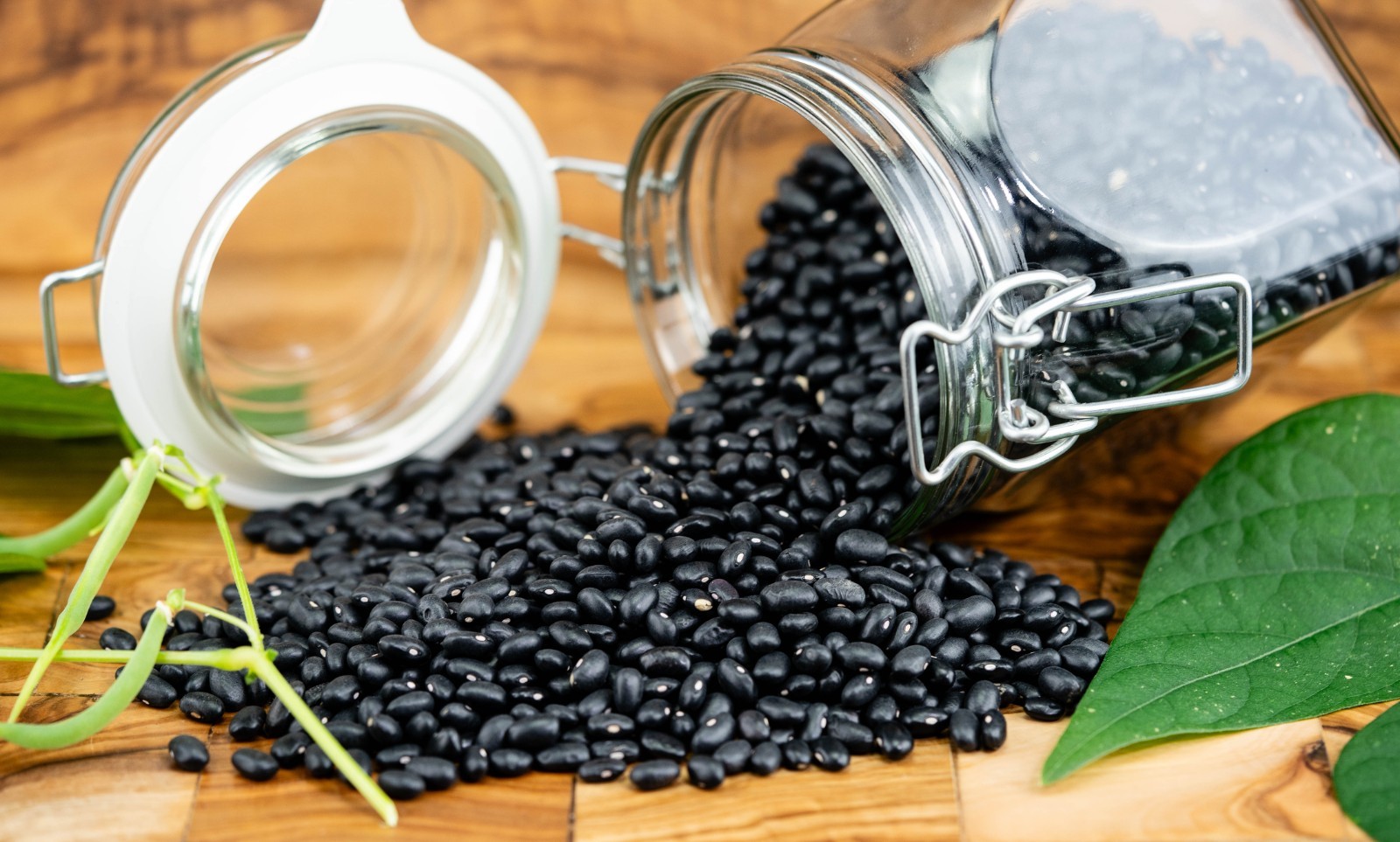 Black Turtle Bean Seeds