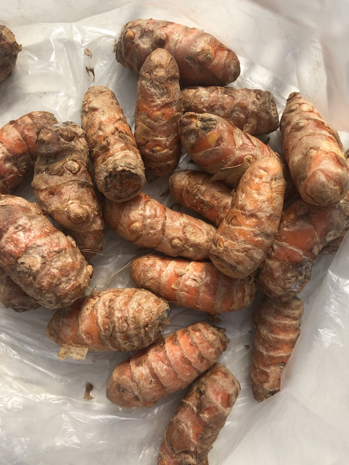 5pcs Fresh Turmeric Roots Curcuma Longa Ready To Plant