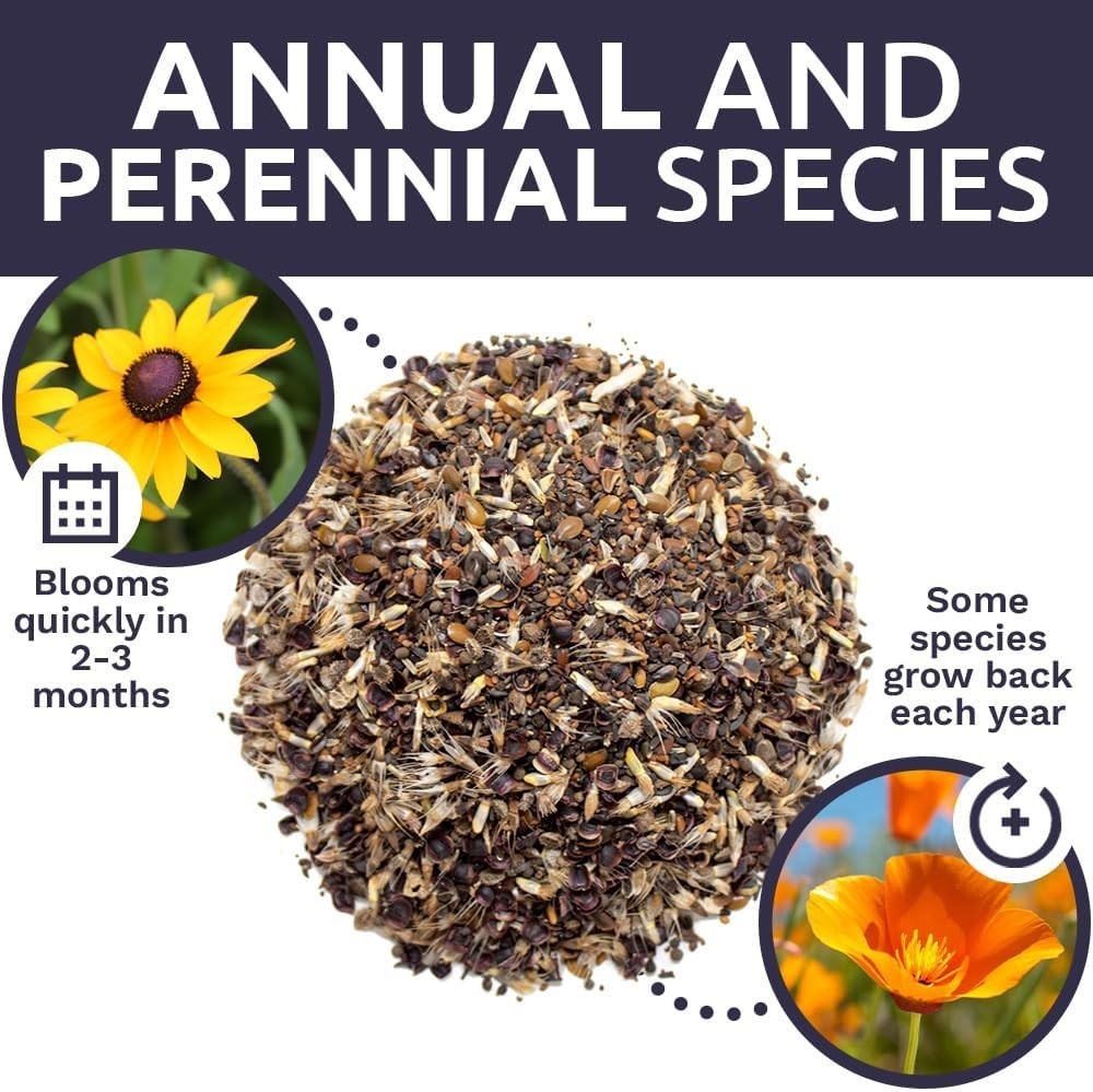California Wildflower Mix – 1/4 lb Bag