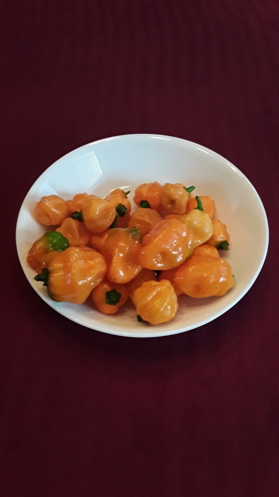 75 Large Orange Habanero Hot Peppers Seeds Fresh