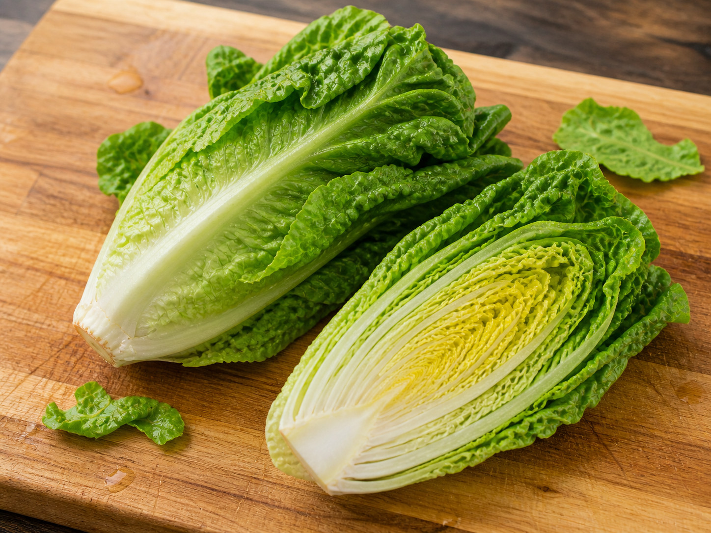 1250 Heirloom Organic Little Gem Lettuce Seeds – Petite Romaine Style – NonGMO