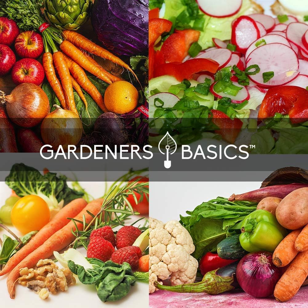 Winter, Fall, and Spring Vegetable Seeds for Planting | Cool Weather Crops | 8 V