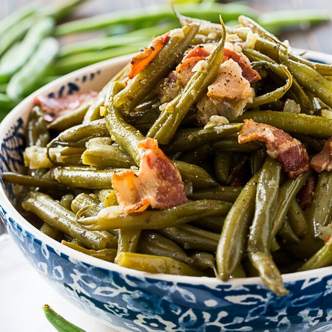 BULK Contender Green Bean Seeds | Bush Stringless Vert Vegetable Seed 2024