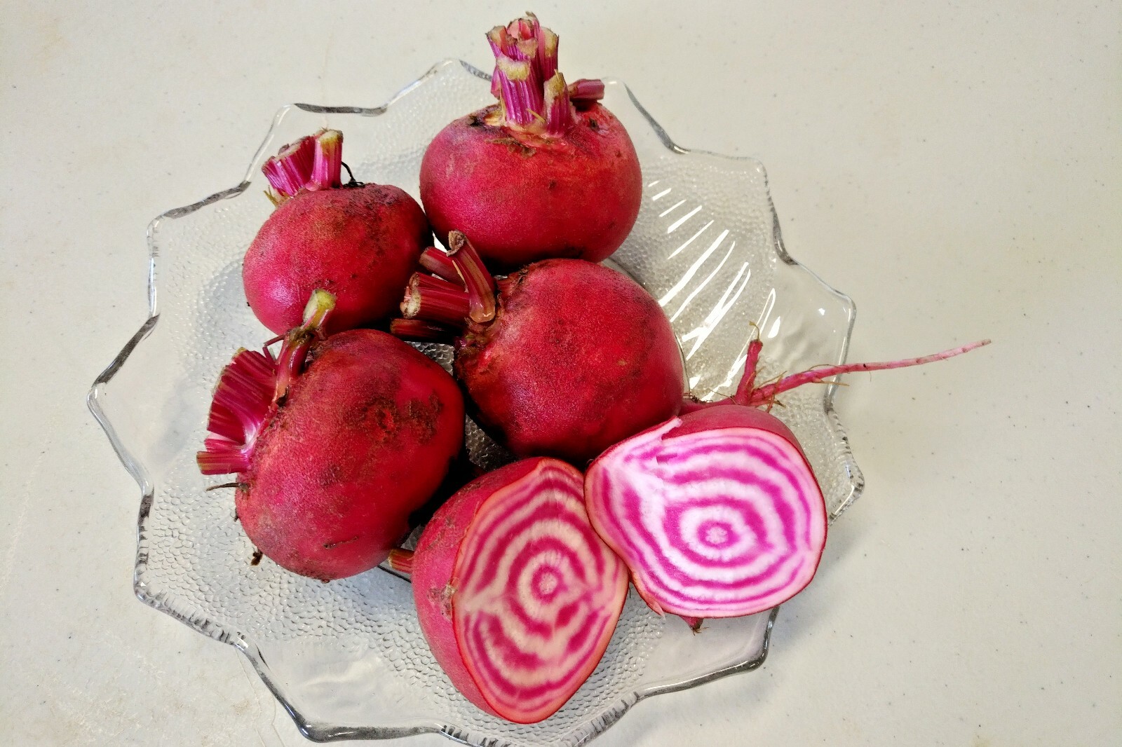 101+CHIOGGIA BEETS Seed Italian Heirloom Vegetable Garden Patio Container Easy