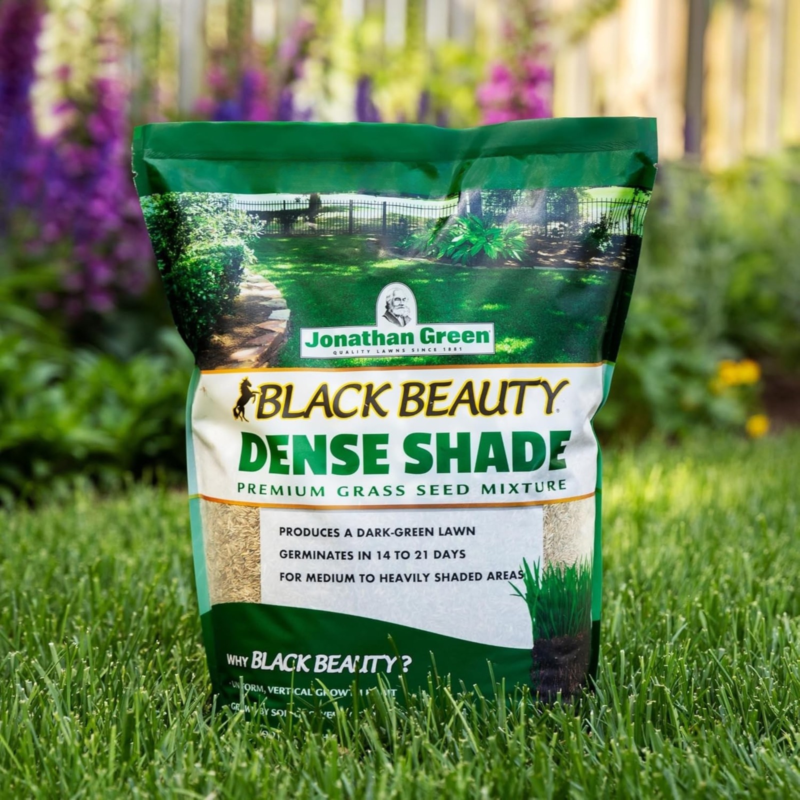 Jonathan Green (#10600) Black Beauty Dense Shade Grass Seed Mix, 3lb bag
