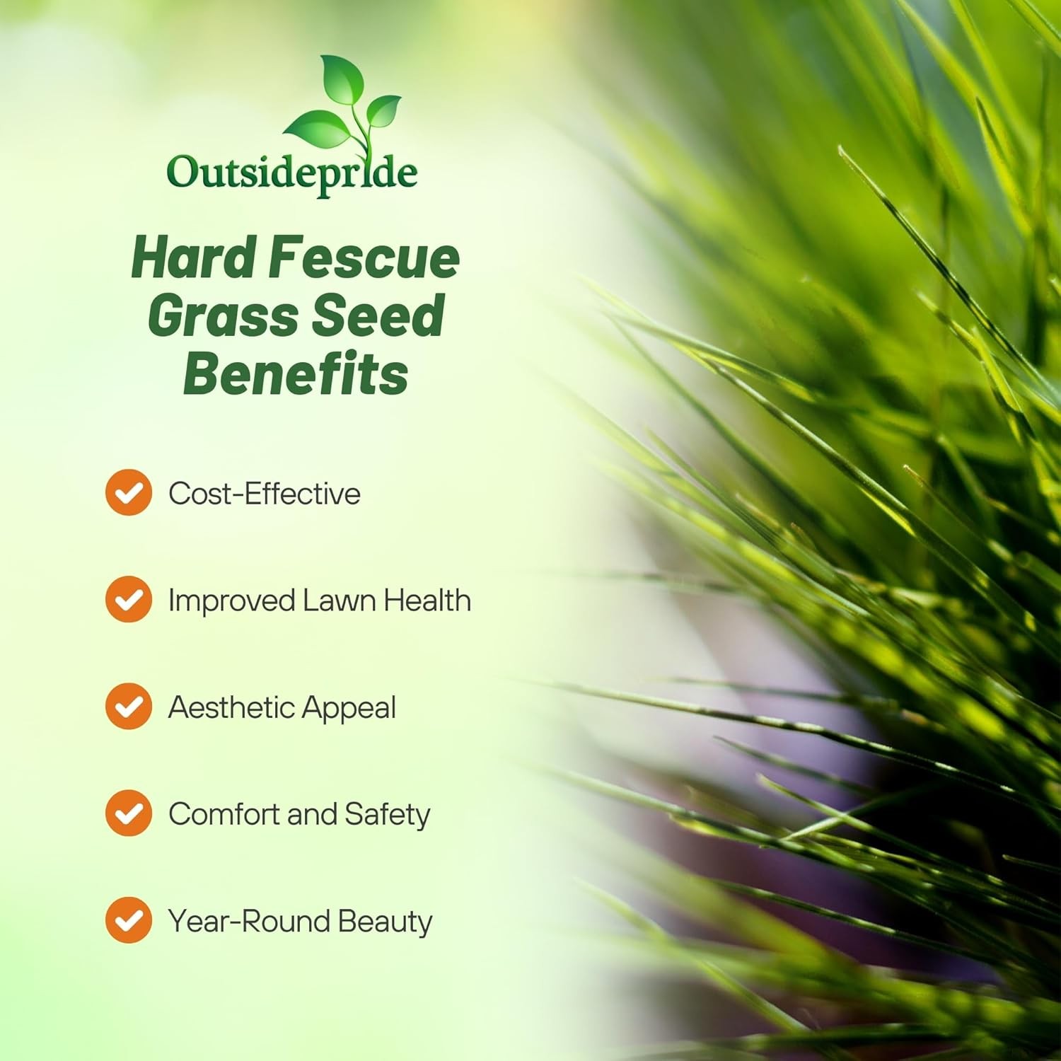 10 LBS – OptiGrowth Coated Hard Fescue Grass Seed – Low Growing Fine Fescue