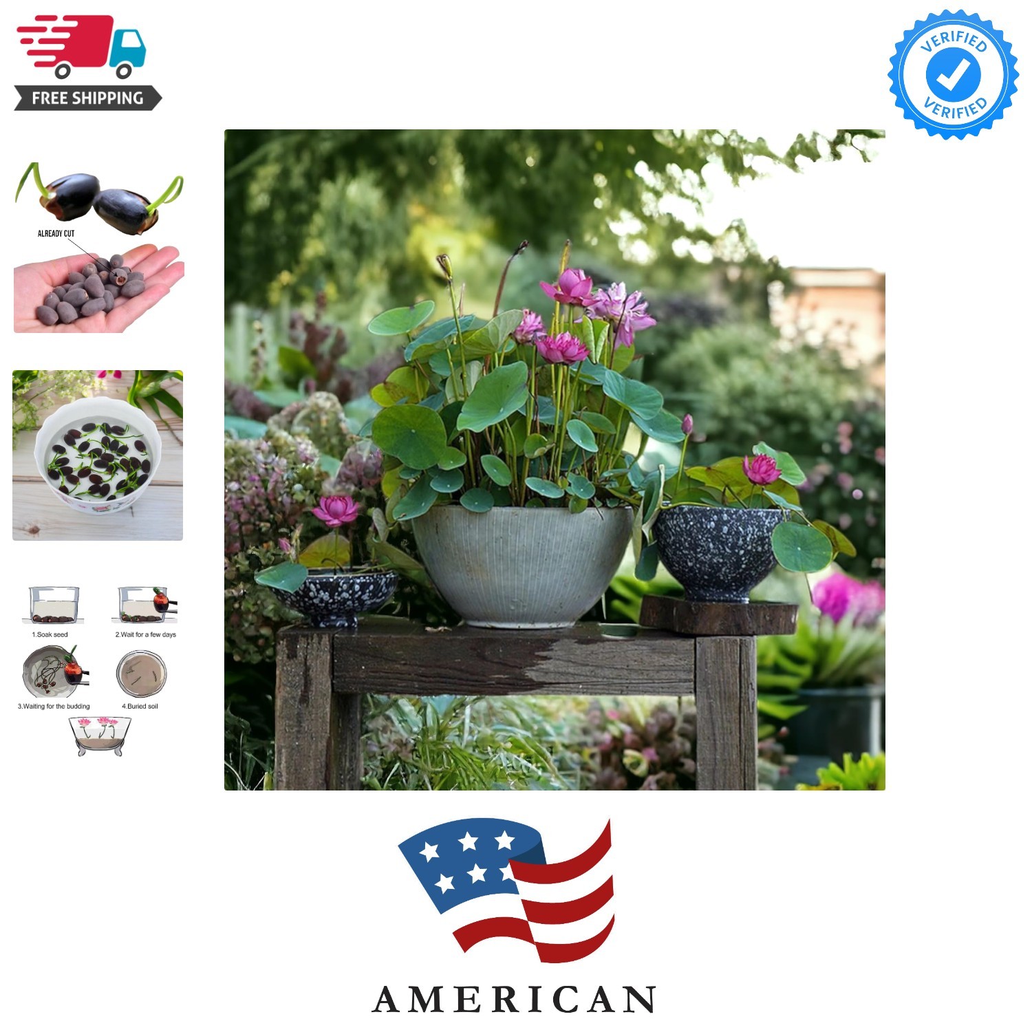 20pcs Mixed Pink, Red & Green Color Bowl Lotus Seeds for Planting Beautiful W…