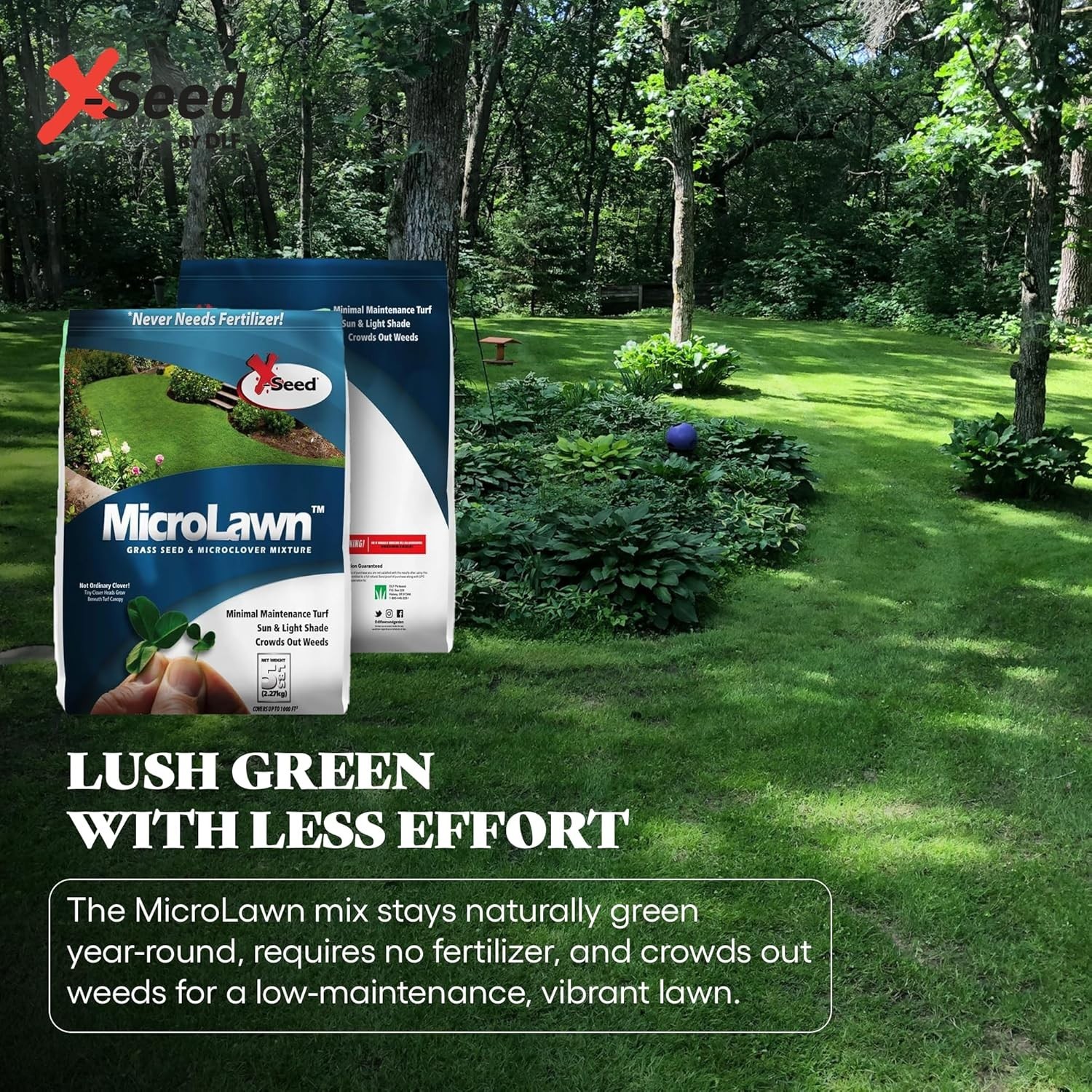 X-Seed Microlawn Grass Seed & Microclover Mix – Dense Self Feeding Lawn, Sun &