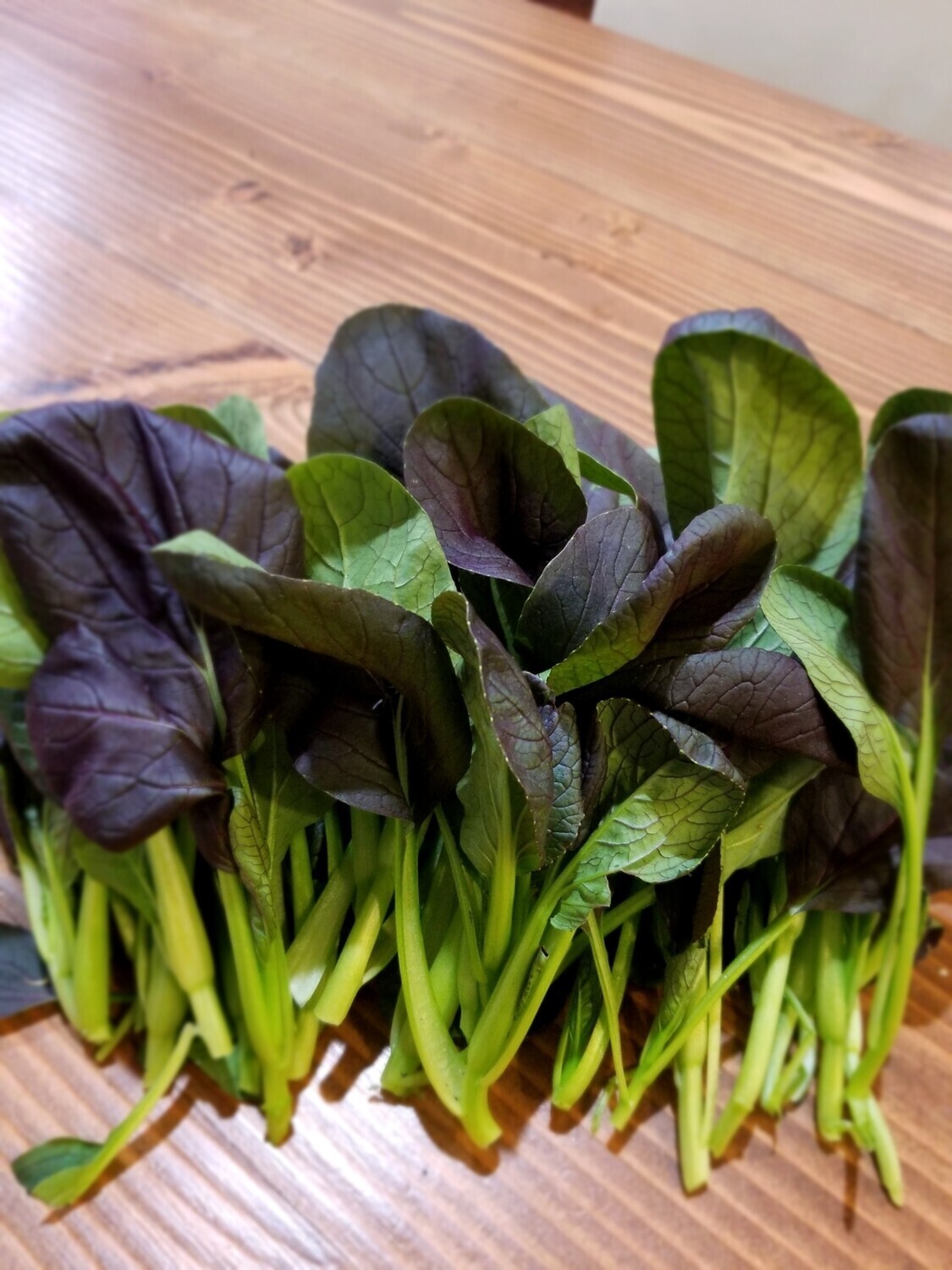 🌱Heirloom Purple Lady Bok Choy 50+ Seeds ✦Great Taste