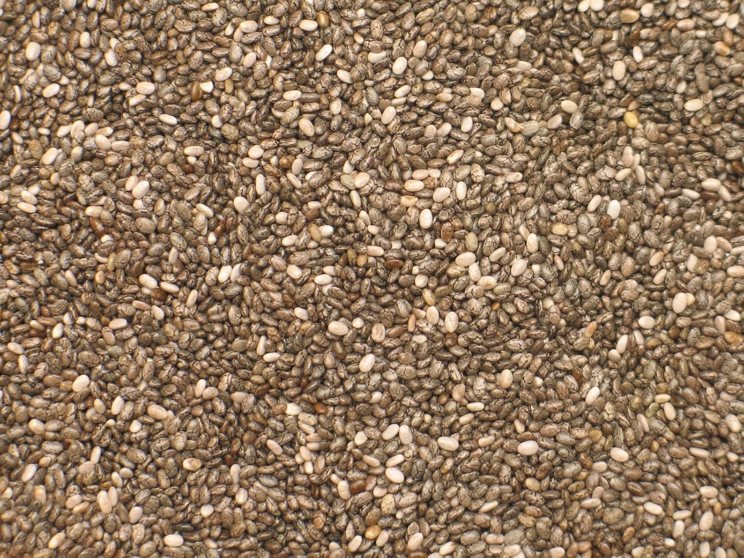 Deliciously Versatile Organic Black Chia Seeds, 2.2 lb Pack of 2 Bags