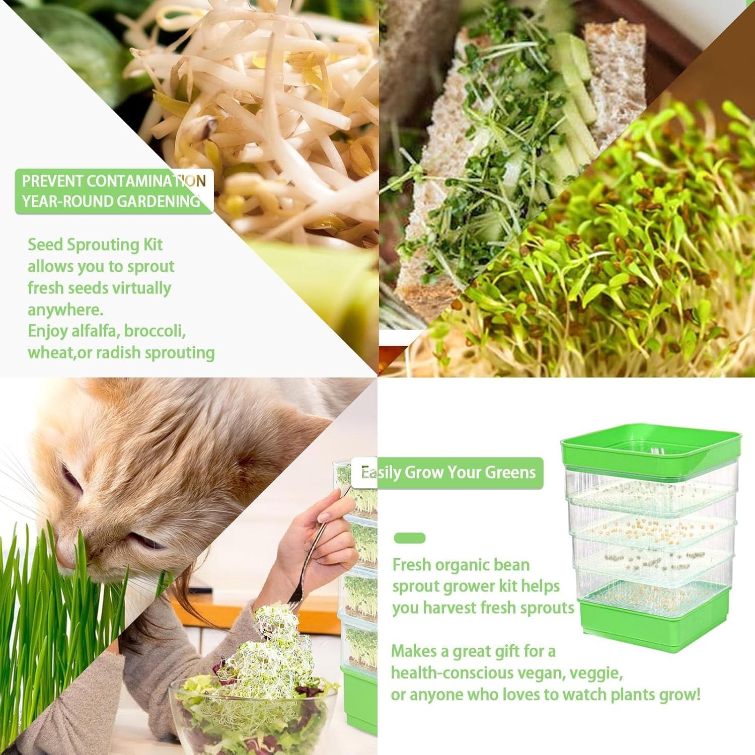 Upgrade Soil-Free Seed Sprouting Tray – Multi-Tier Organic Bean Sprouter Kit