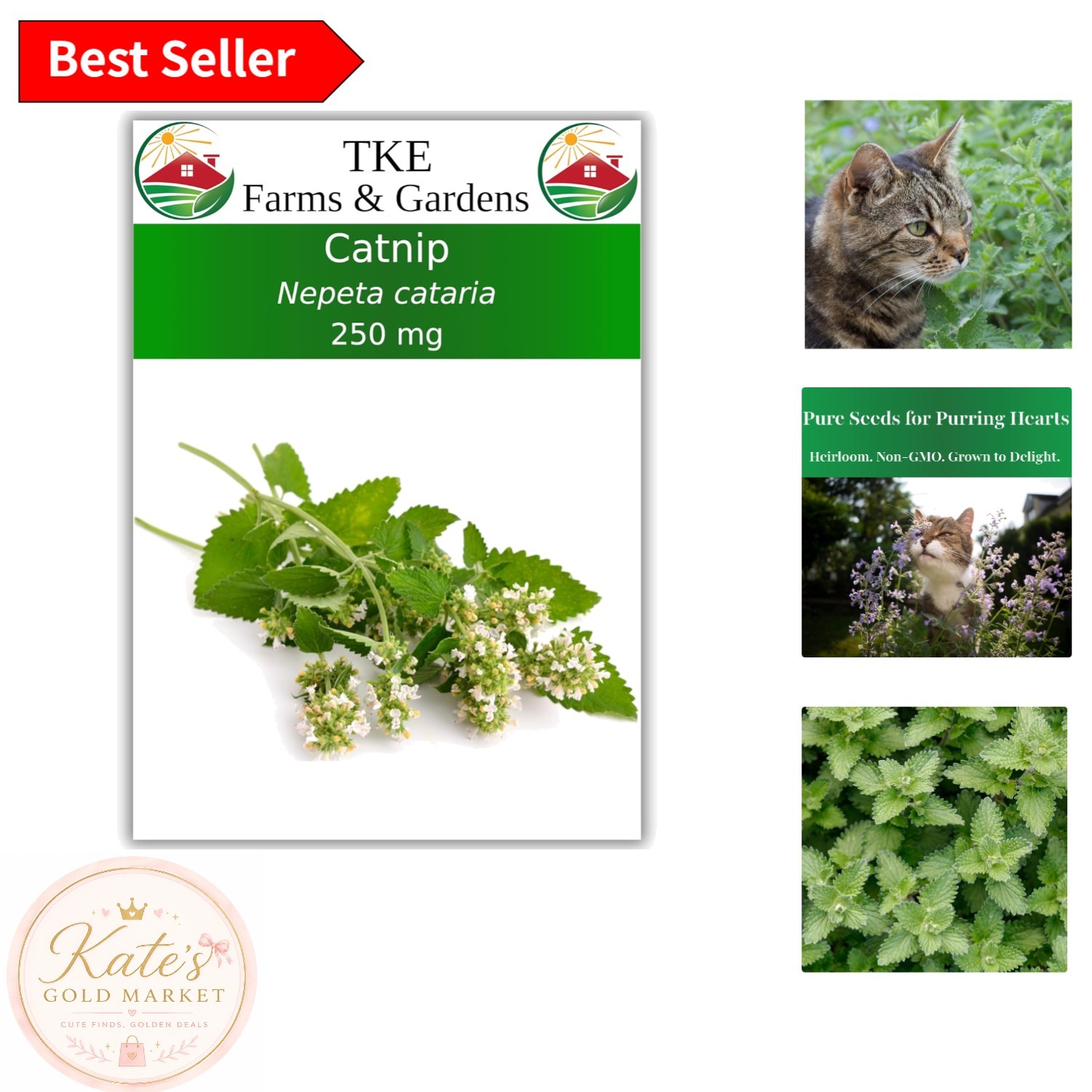 Catnip Seeds for Indoor & Outdoor – 700+ Non-GMO Heirloom Seeds for Cats