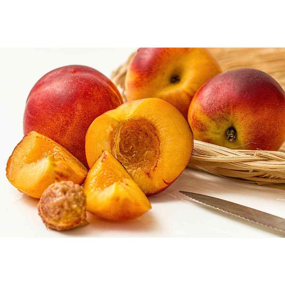Independence Nectarine Bare-Root Tree 3-4 Feet Tall