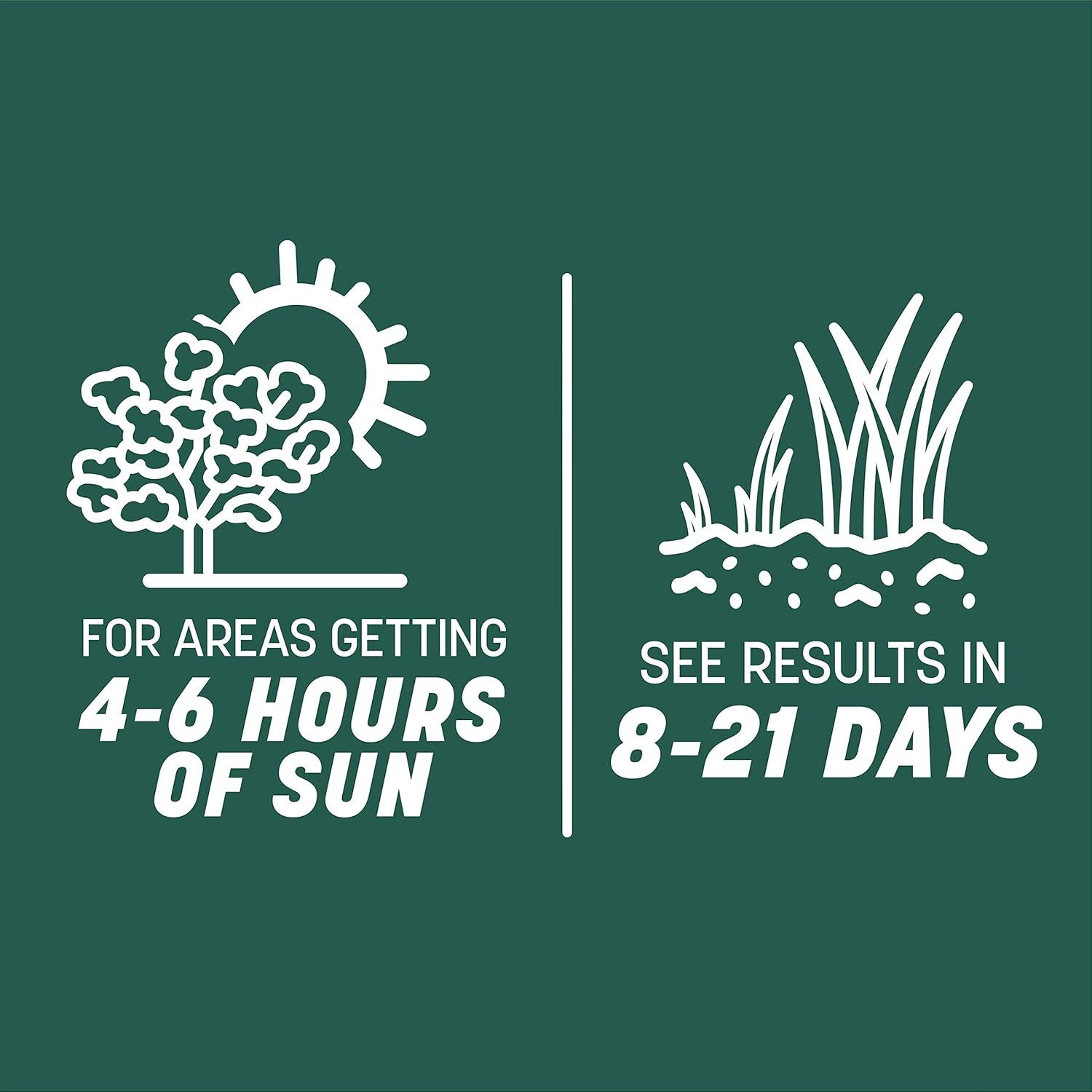 Pennington Smart Seed Sun & Shade Mix South, Tall Fescue Grass Seeds for Lawn, 2