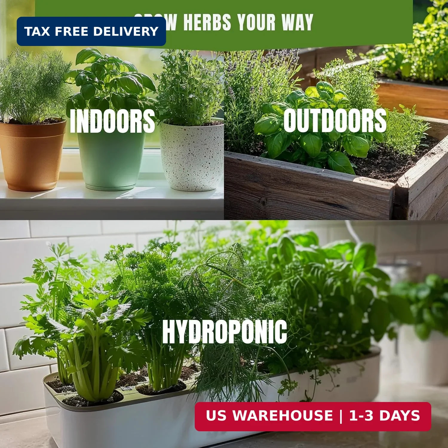 Culinary Herb Seeds Variety Pack – Basil, Cilantro, Parsley, Oregano, Rosemary &