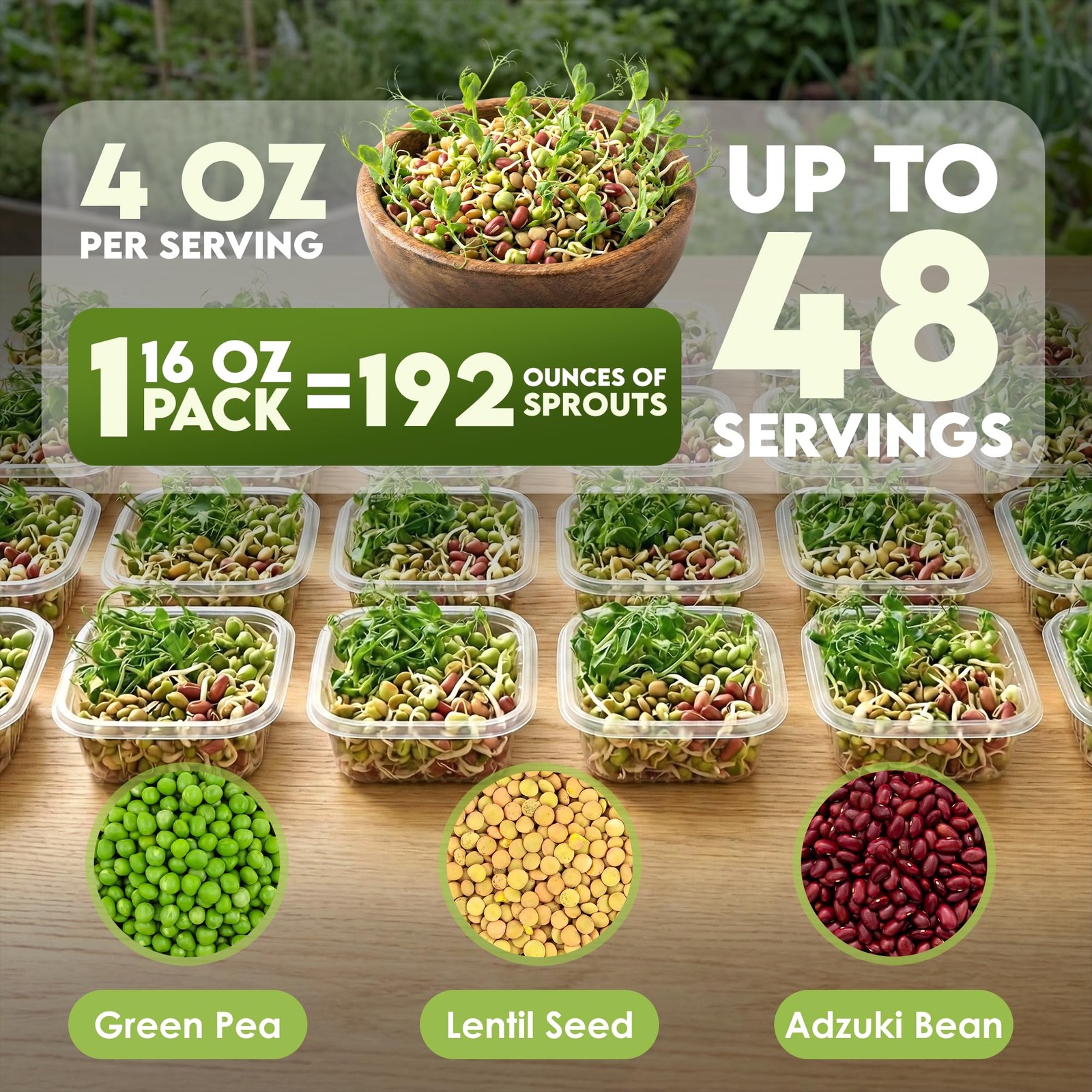 Organic 3-Bean Seed Mix for Planting – Non-GMO Microgreen Sprout Seeds 16 Oz