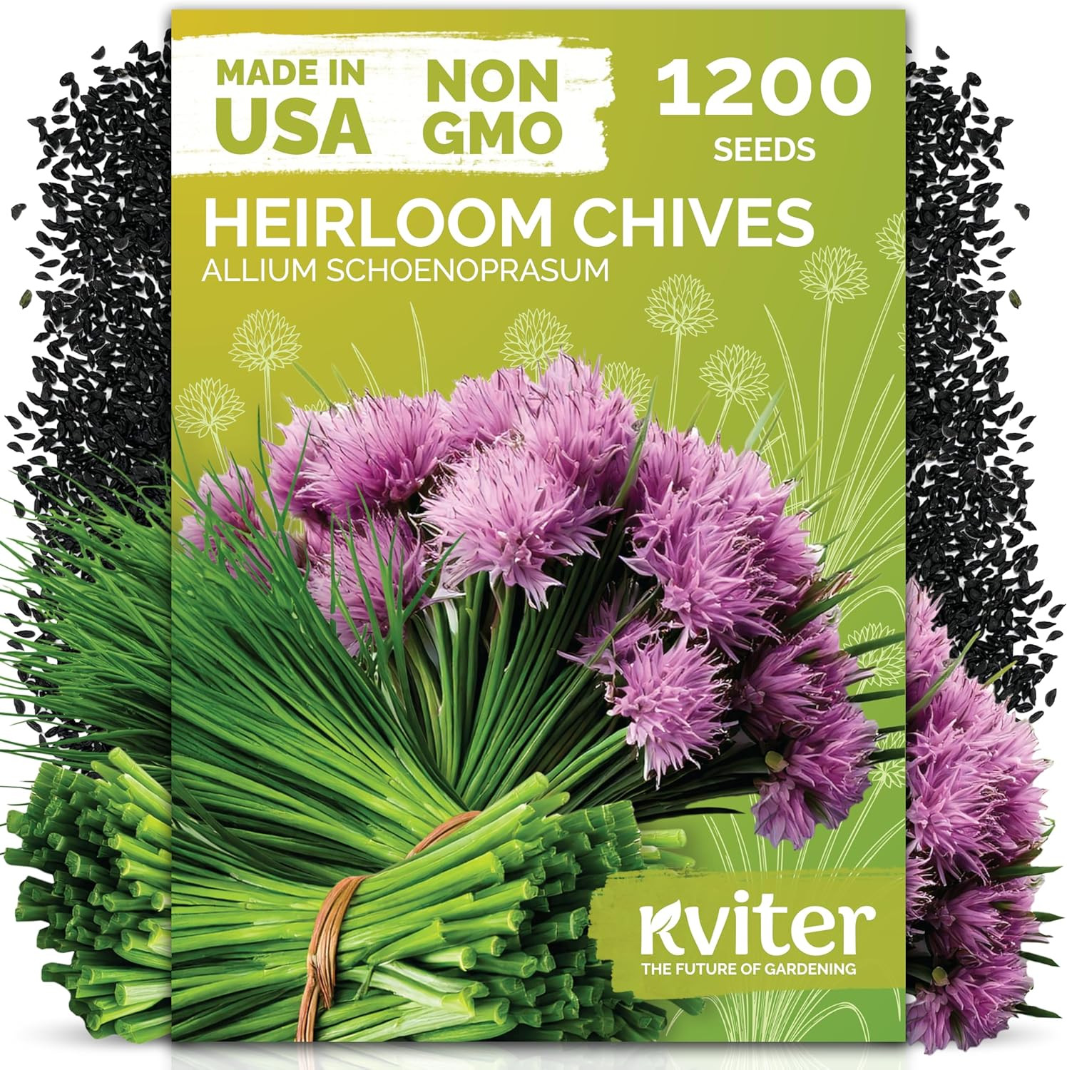 1200 Chive Seeds (Allium Schoenoprasum) – Know as Onion or Garlic Chives Chives,