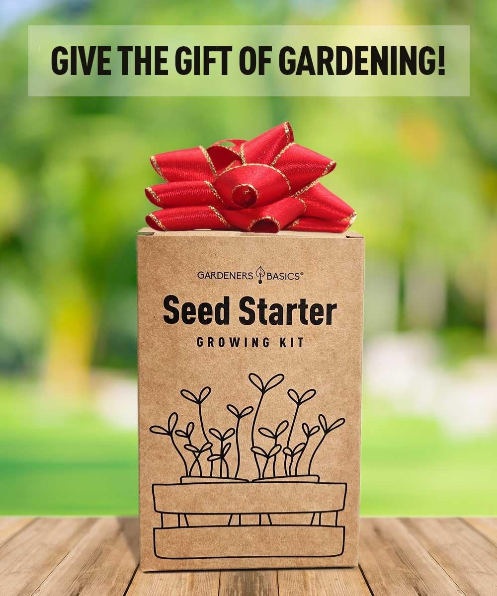 “Sunflower Growing Kit NonGMO Seeds for Indoor & Outdoor Garden”