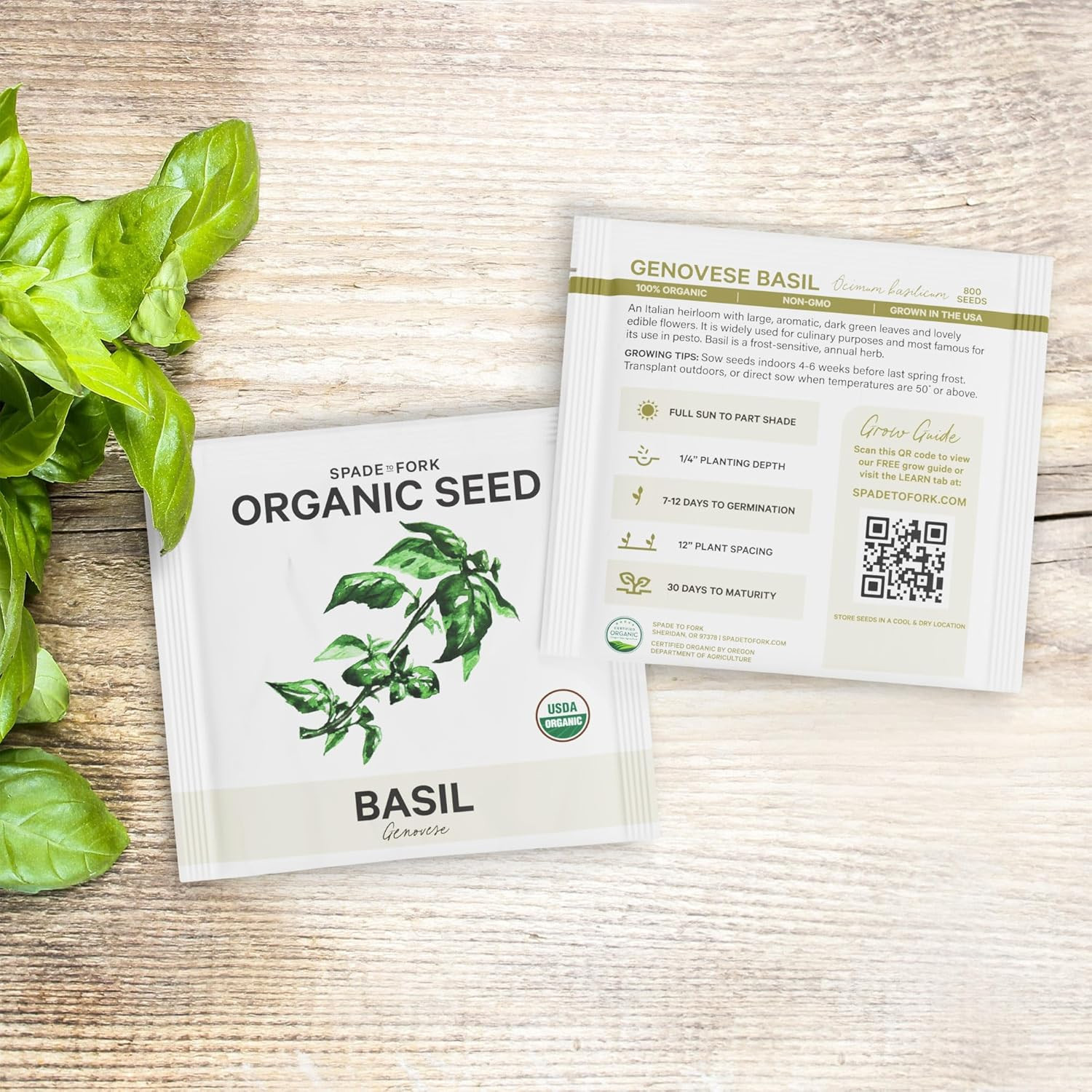 5 Certified Organic Herb Variety Pack (4X More) 2,800+ Non GMO for Planting In