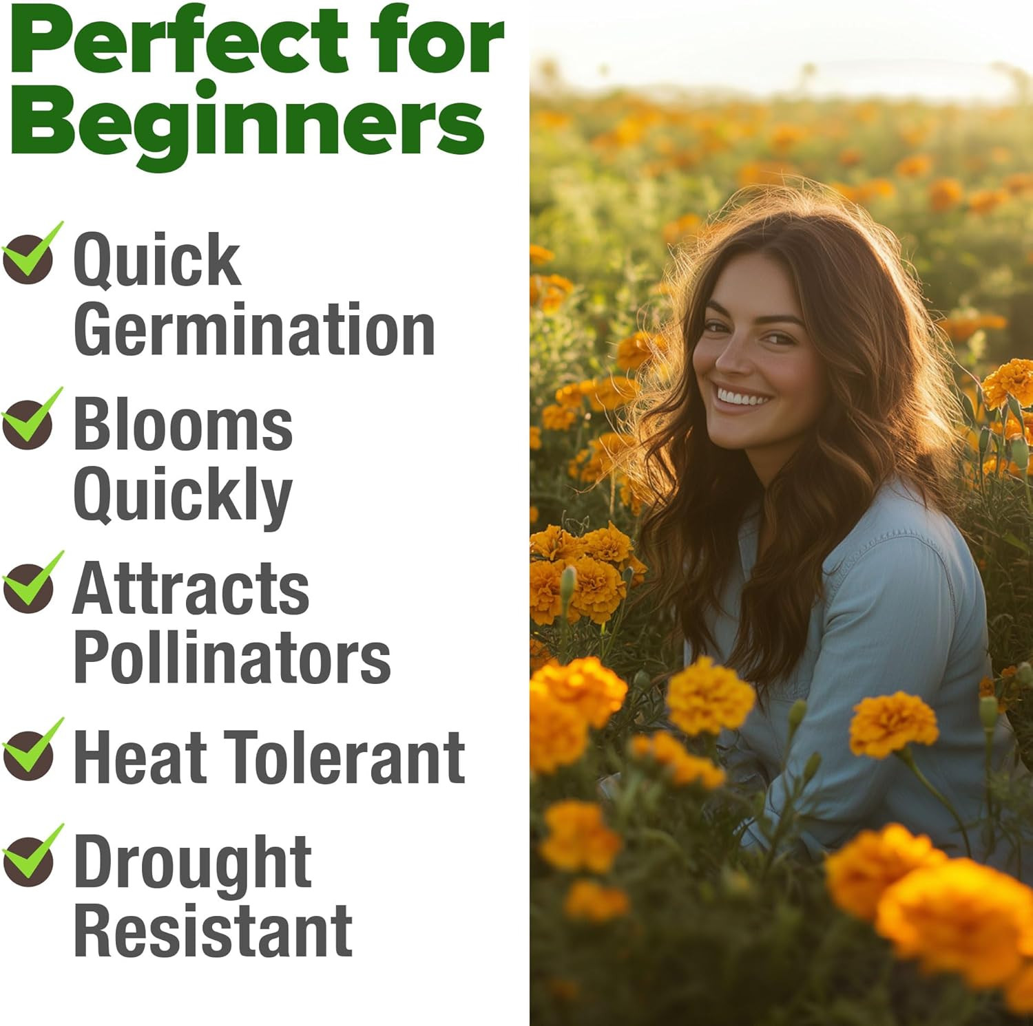 Marigold Seeds Bulk Mix – 5600+ Crackerjack Marigold Flower Seeds for Planting O