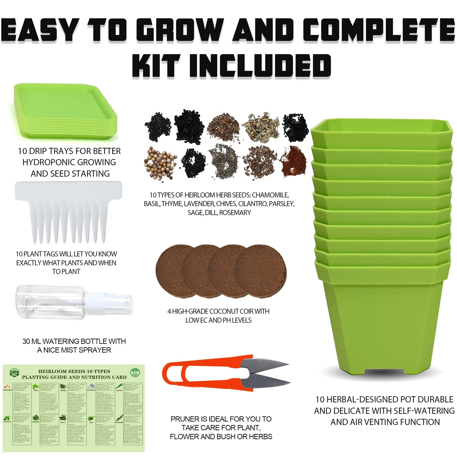 10 Herb Seeds Garden Starter Grow Kit Indoor Potted Plant Set for Kitchen