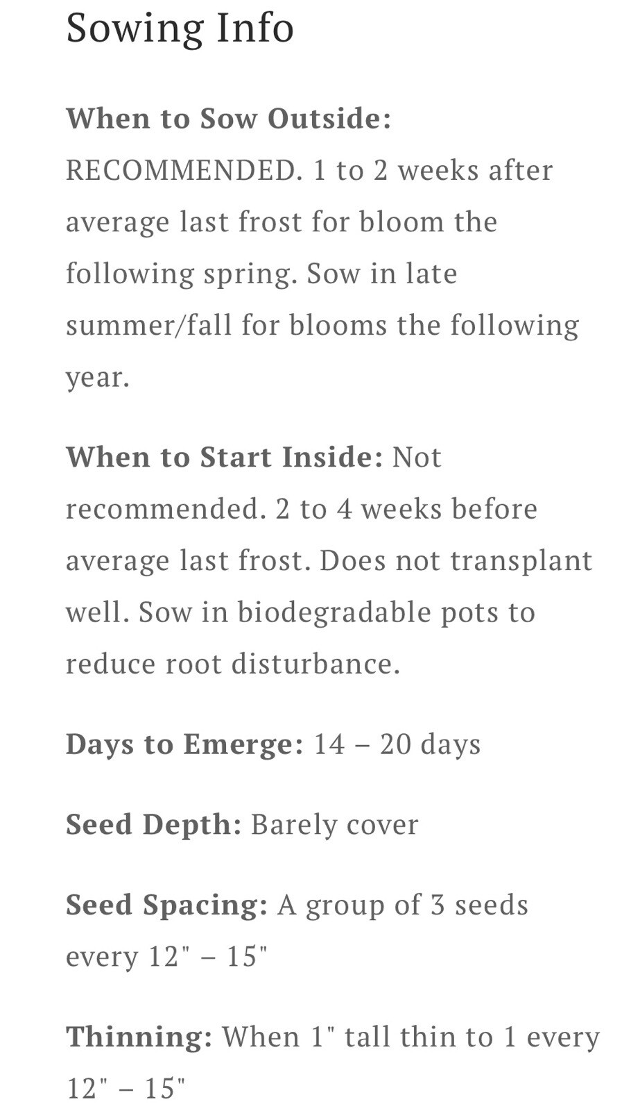 50 Money ‘Silver Dollar’ Luck Lunaria Plant Seeds, Non-GMO Heirloom🪷Seeds🪷