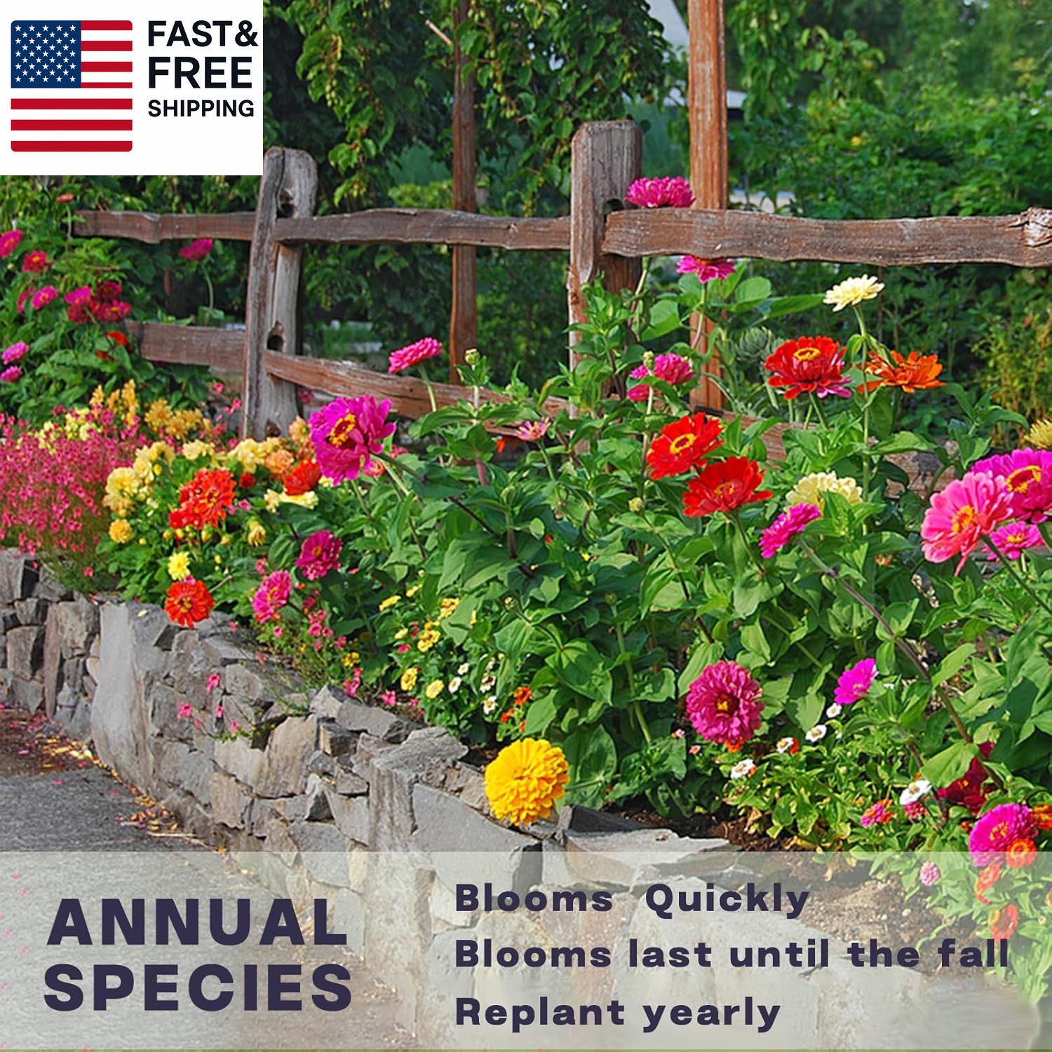 Zinnia Seeds Bulk 5,000+ | Outdoor Flower for Planting |Giant Zinnia Seeds for