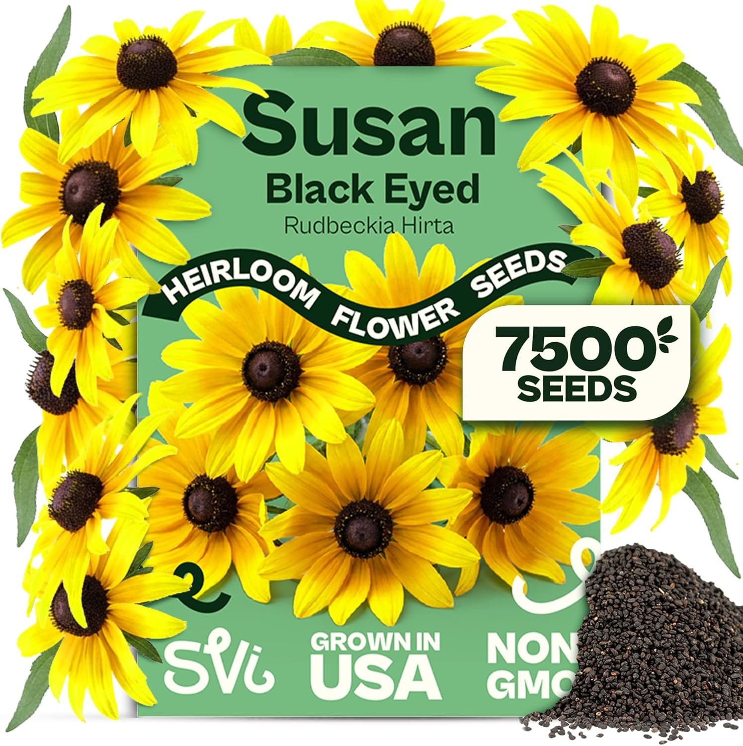 7500 Black Eyed Susan Seeds (Rudbeckia Hirta) – Black-Eyed Susan Wildflower Seed