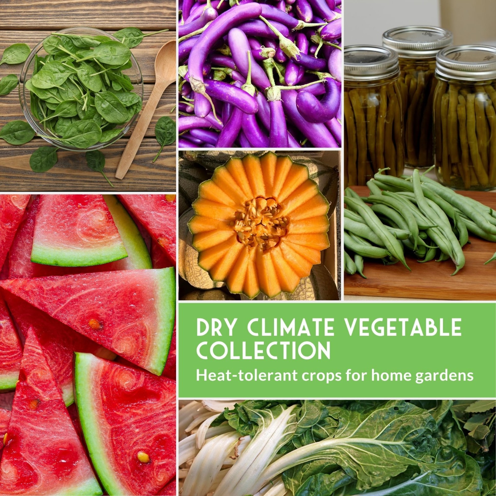 Drought & Heat Tolerant Vegetable Seeds – 10 Heirloom Non-GMO Varieties for Hot