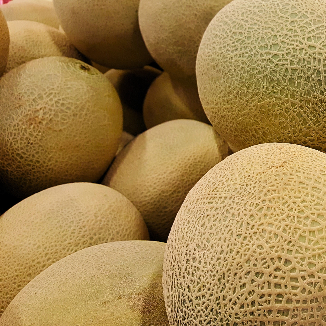 Fresh Delicious 51 Cantaloupe Seeds | Heirloom Non-GMO | Fruit Seeds