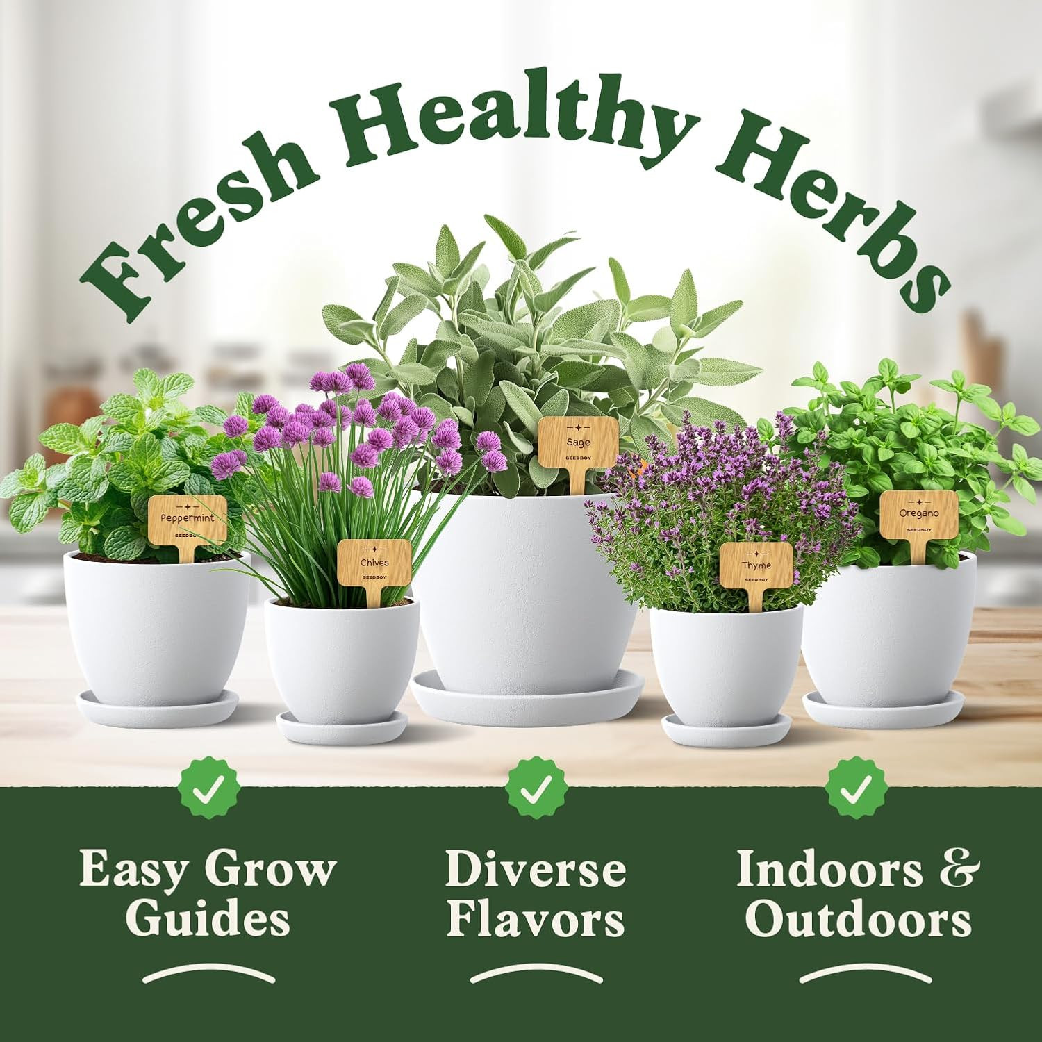 Organic Non GMO 10 Herb Variety Pack: Basil, Cilantro, Mint, Oregano, Parsley, T