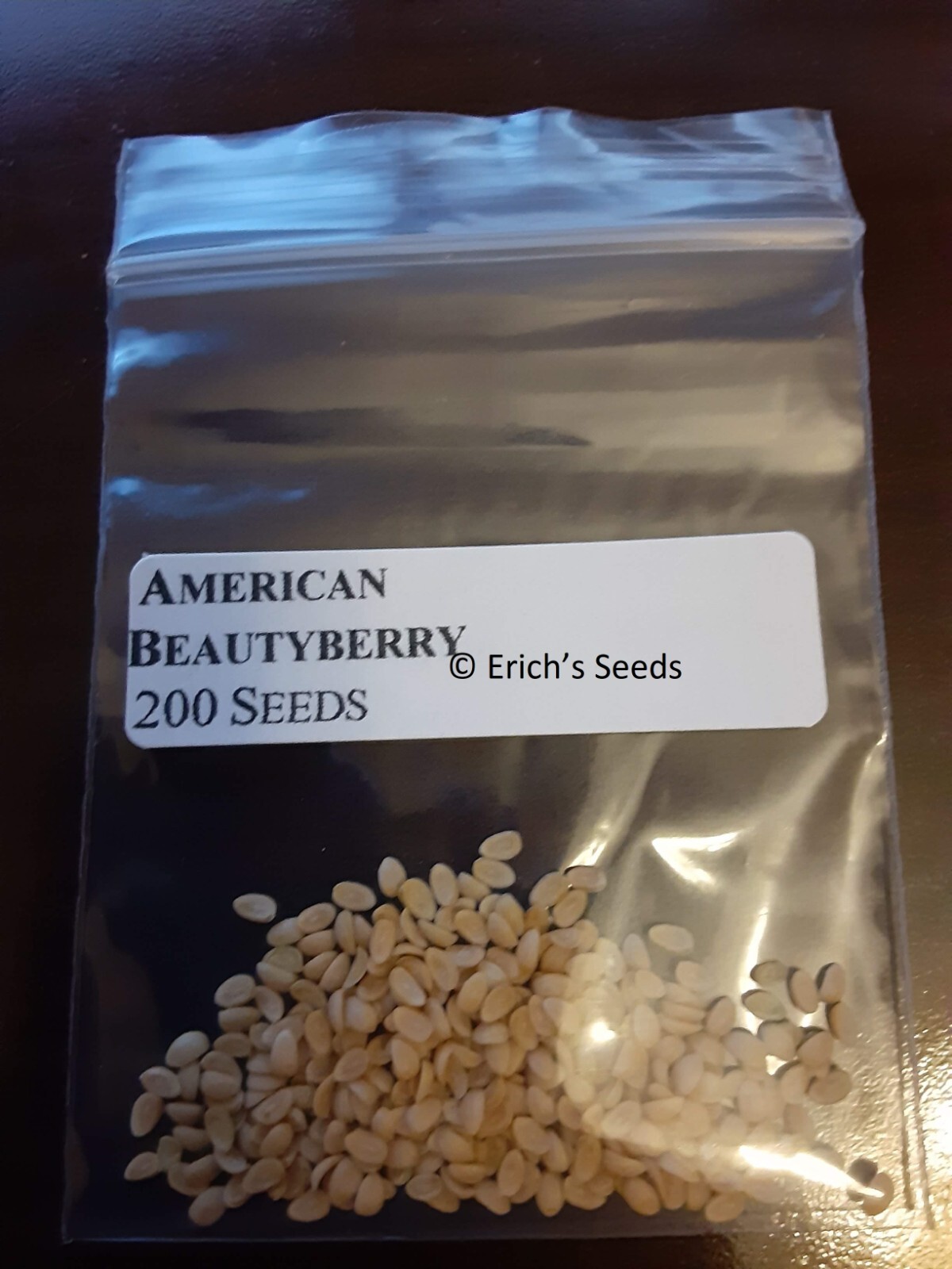 200 Seeds American Beautyberry – Florida Grown