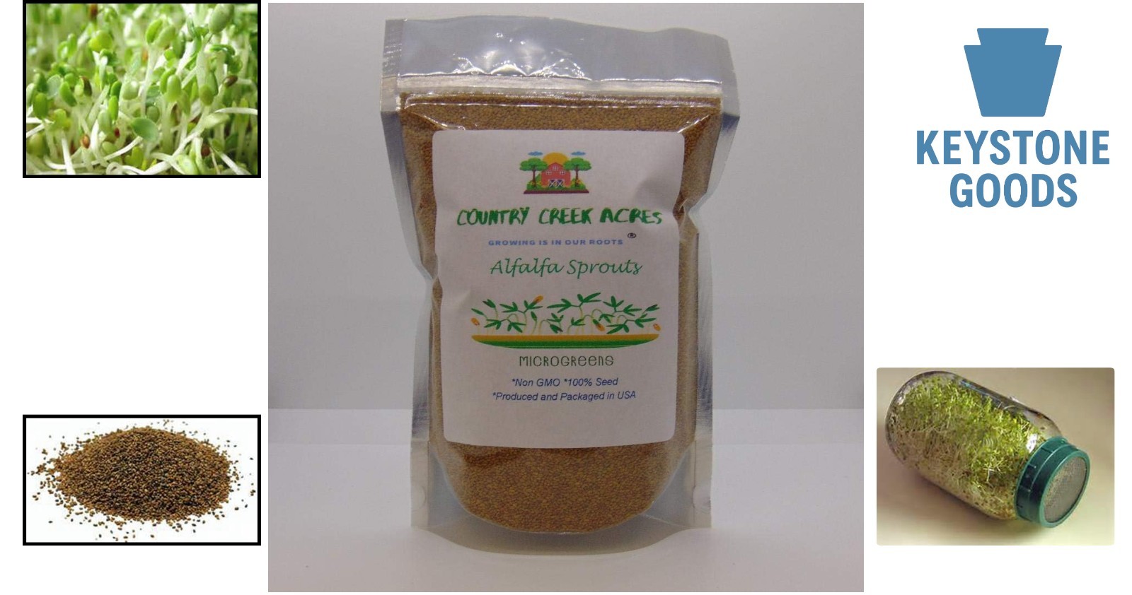 Alfalfa Sprouting Seeds – Non-GMO, High Germination, 2 Oz