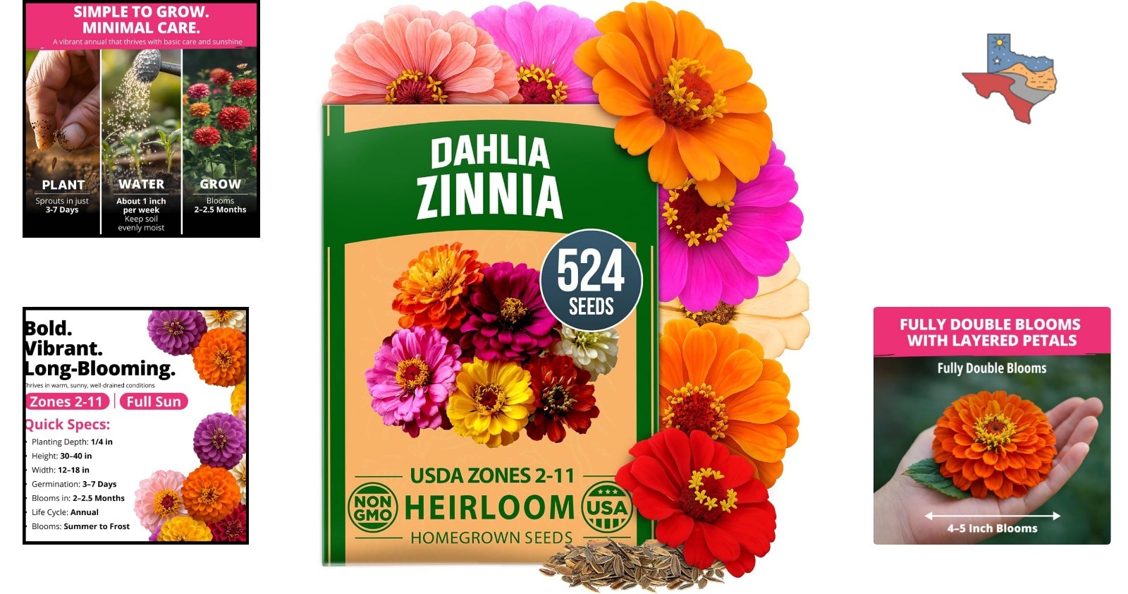 Vibrant Zinnia Dahlia Seeds – 524 Non-GMO, Low Maintenance for Containers