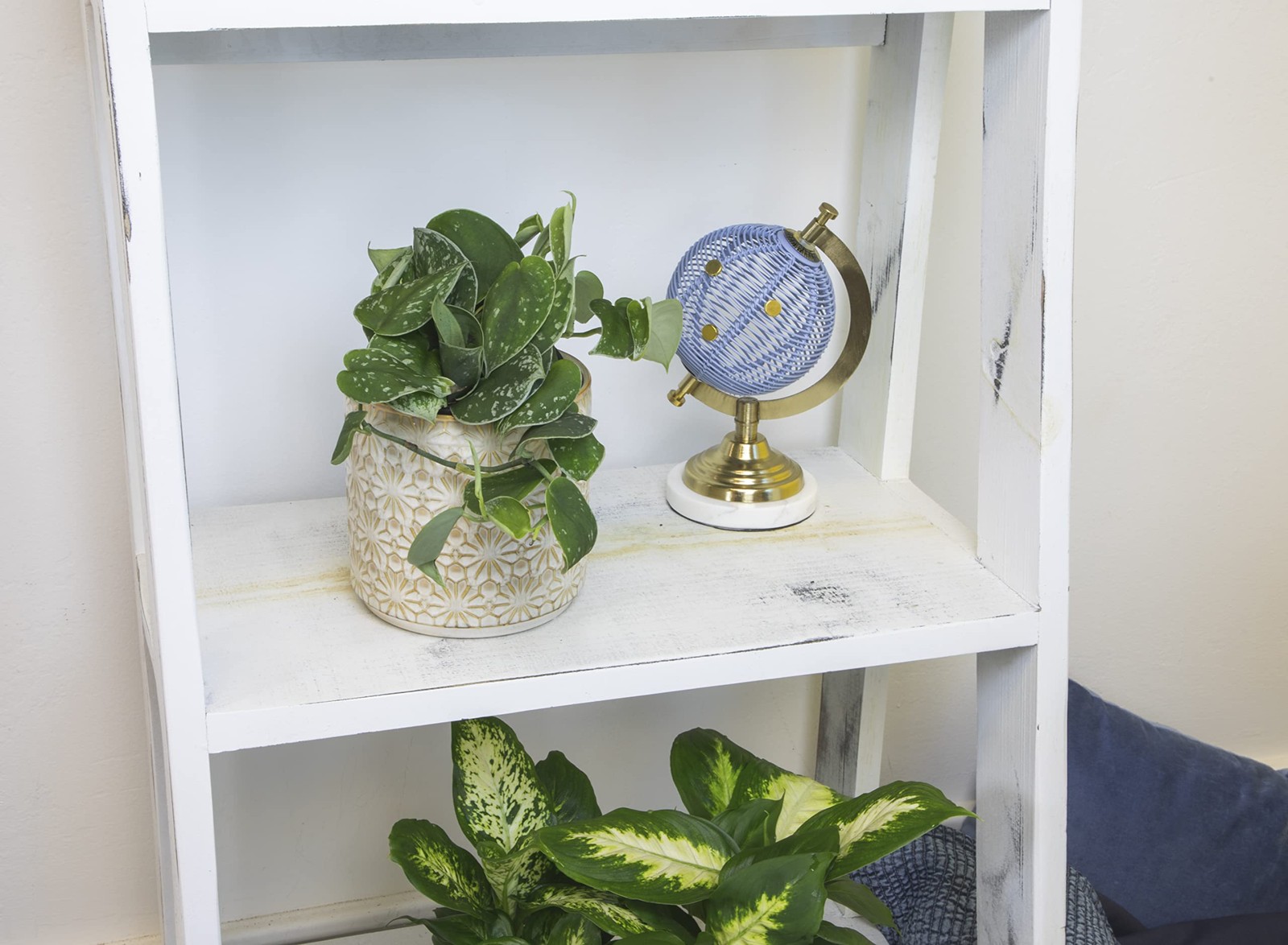 Live Pothos Plants 4PK Indoor Plants Live Houseplants Pothos Live Plant Hous…
