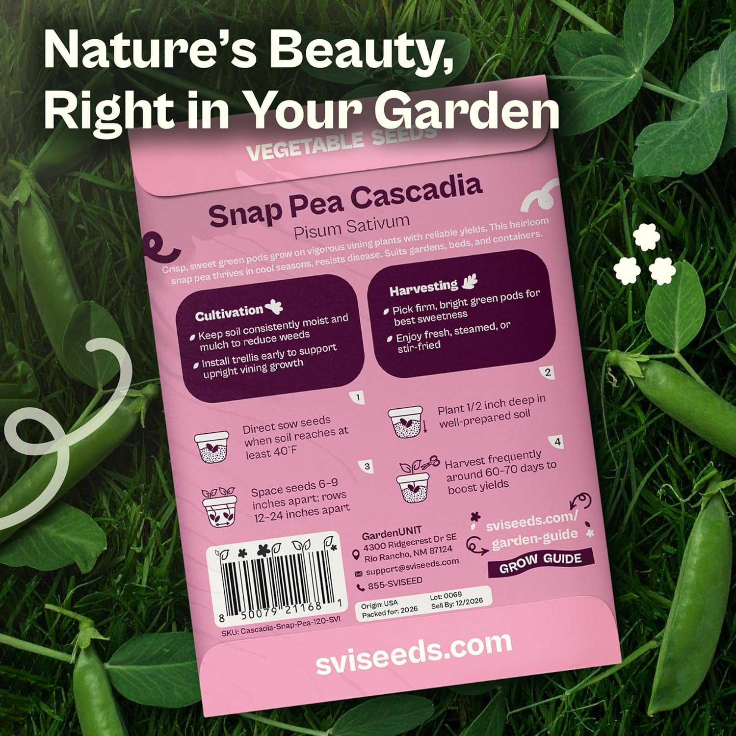 120 Cascadia Snap Pea Seeds (Pisum Sativum) – Sugar Snap Peas, Sweet Peas Seed P