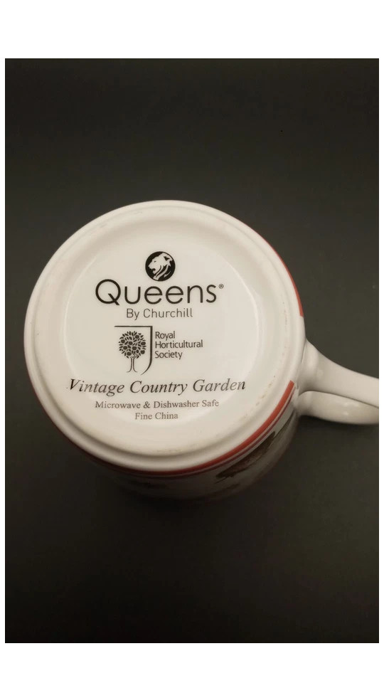 Queens Fine Bone China Vintage Country Garden Strawberry Teacup