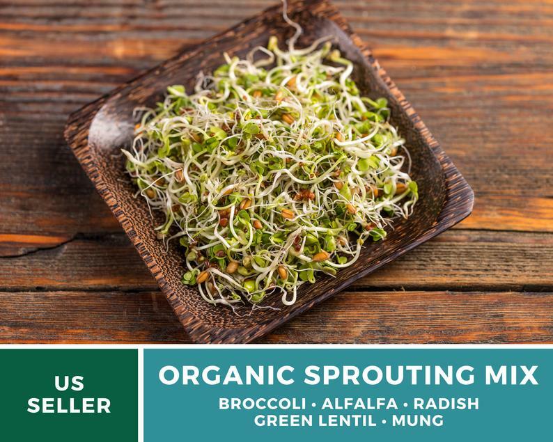 Sprout, 5 Part Mix – 1,000 Seeds – Grow All Year – Non GMO